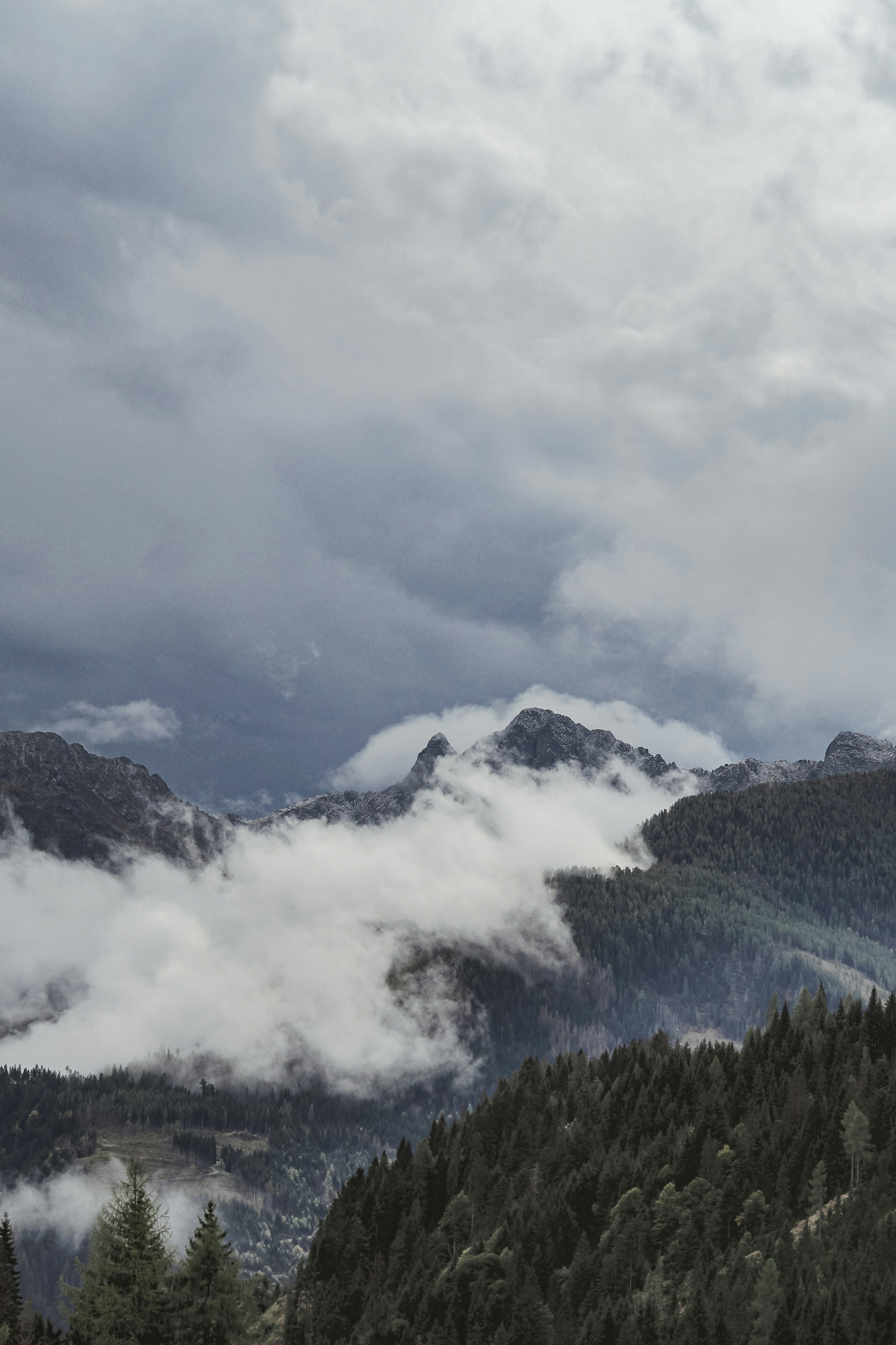 Photo by laurachouette