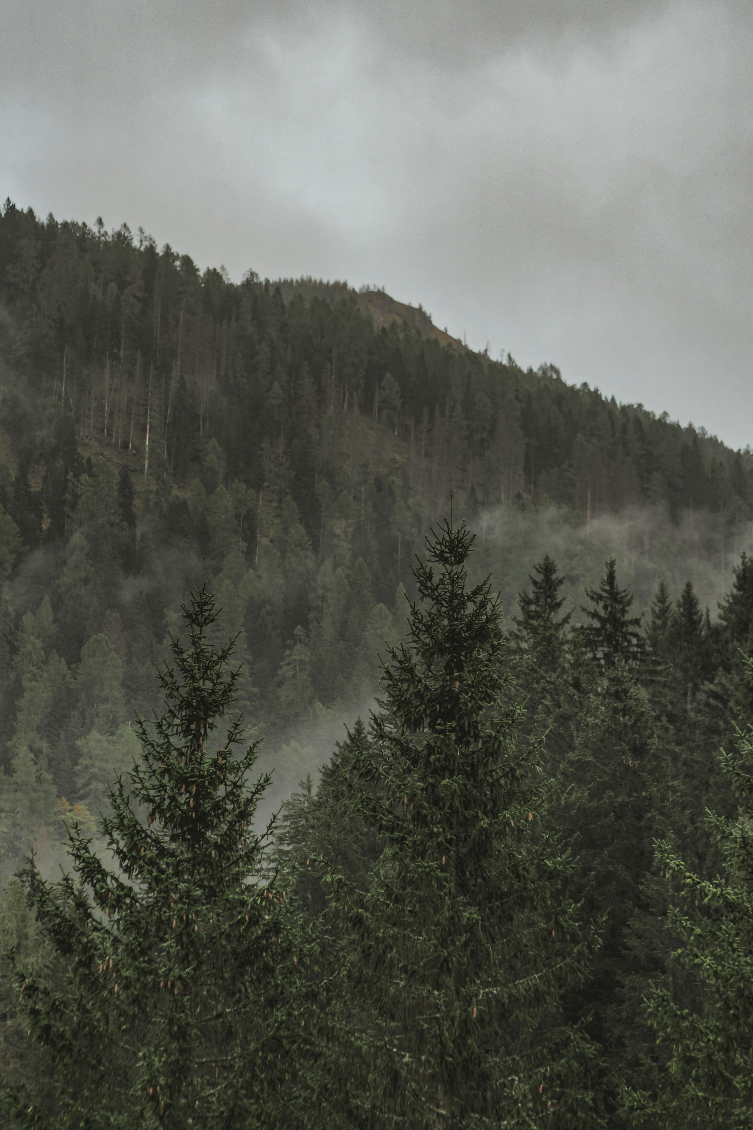 Photo by laurachouette