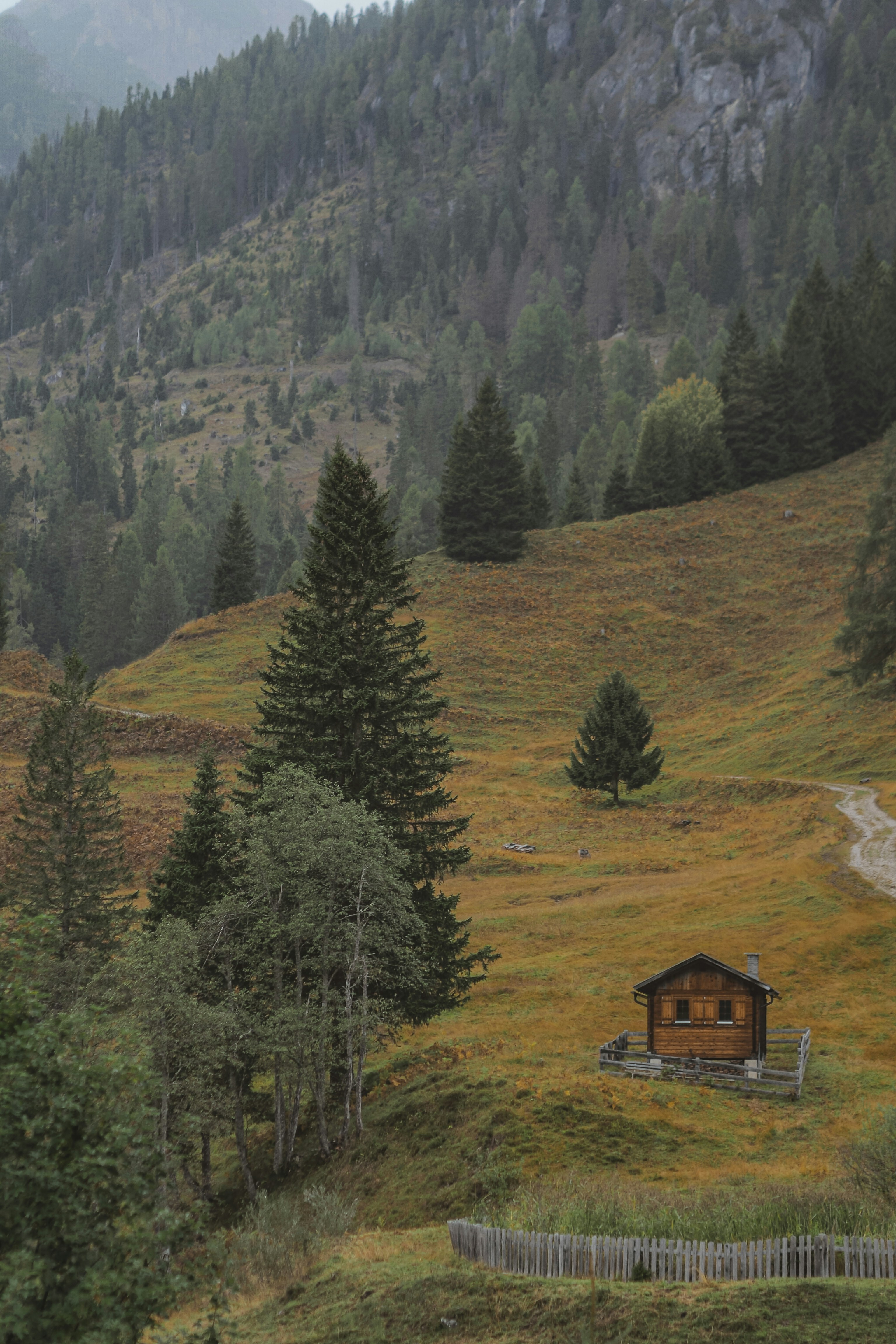 Photo by laurachouette