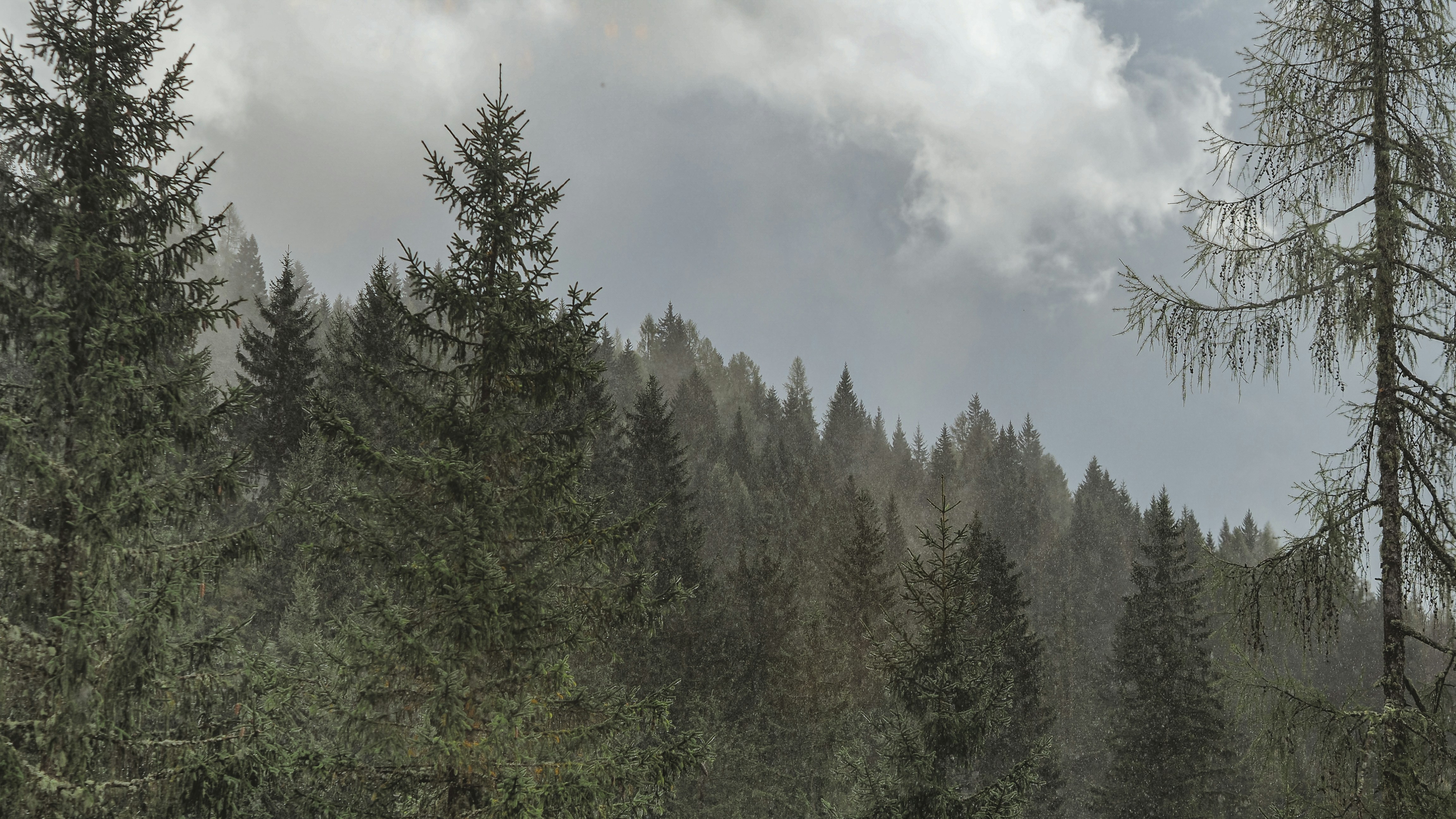 Photo by laurachouette