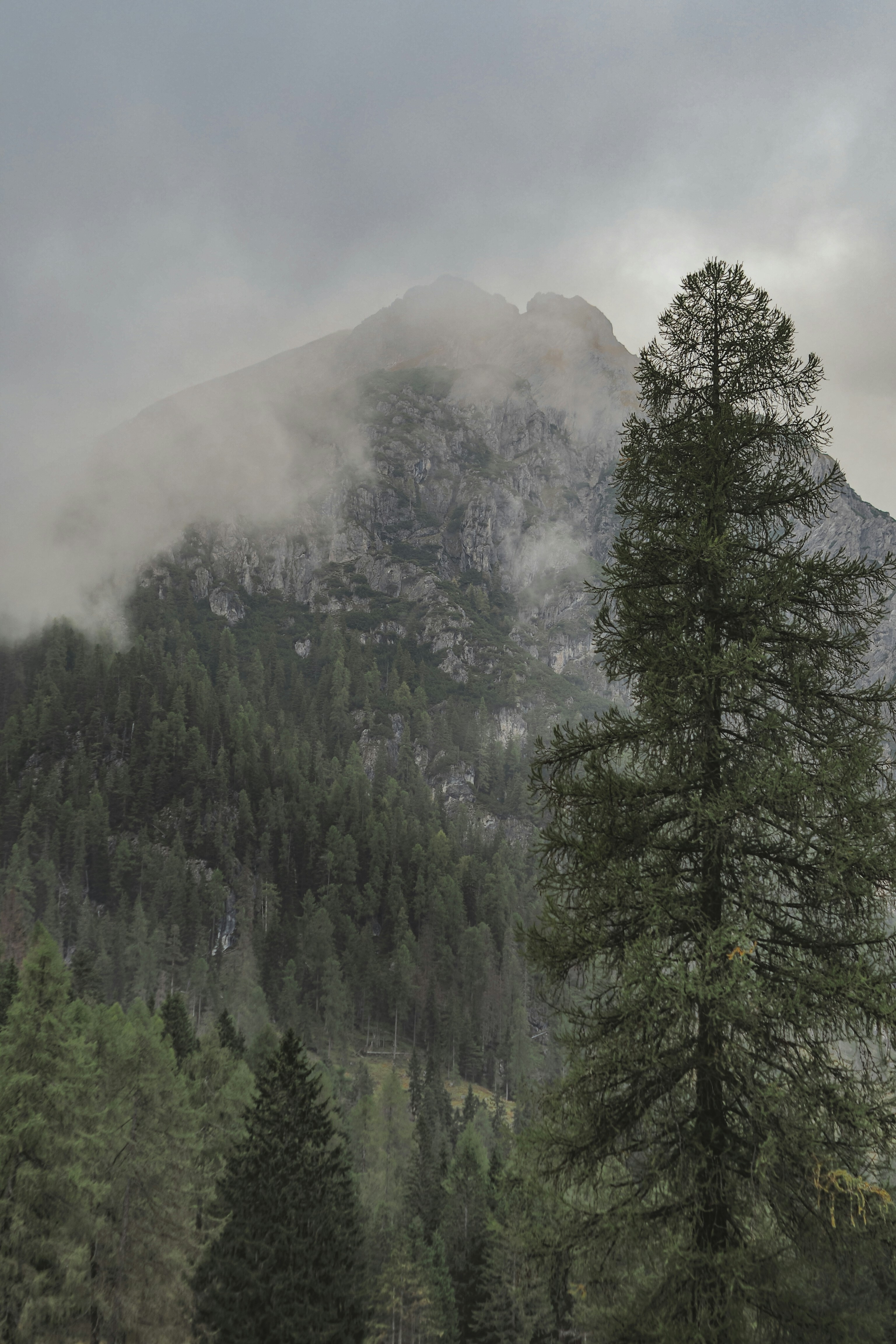 Photo by laurachouette