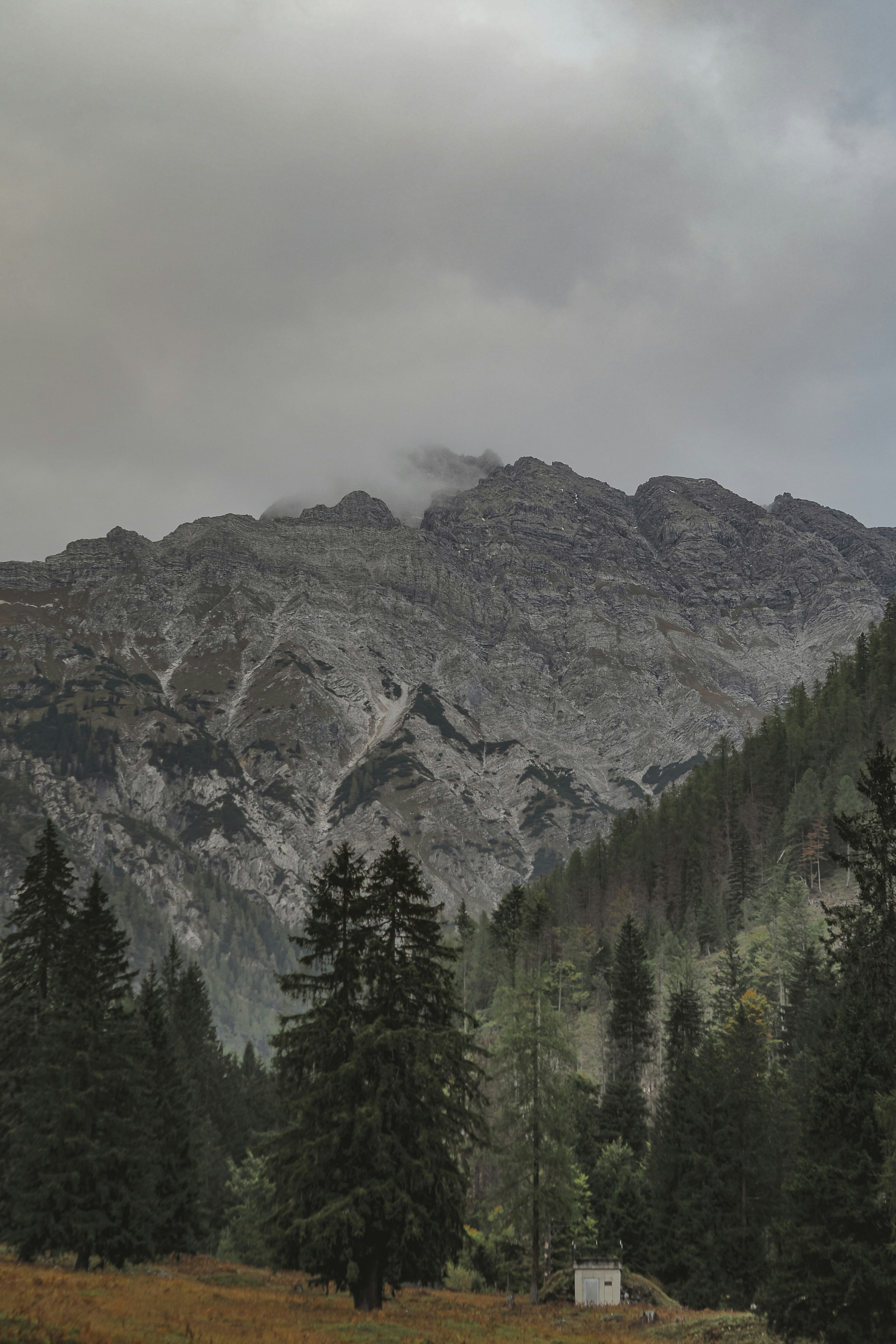 Photo by laurachouette