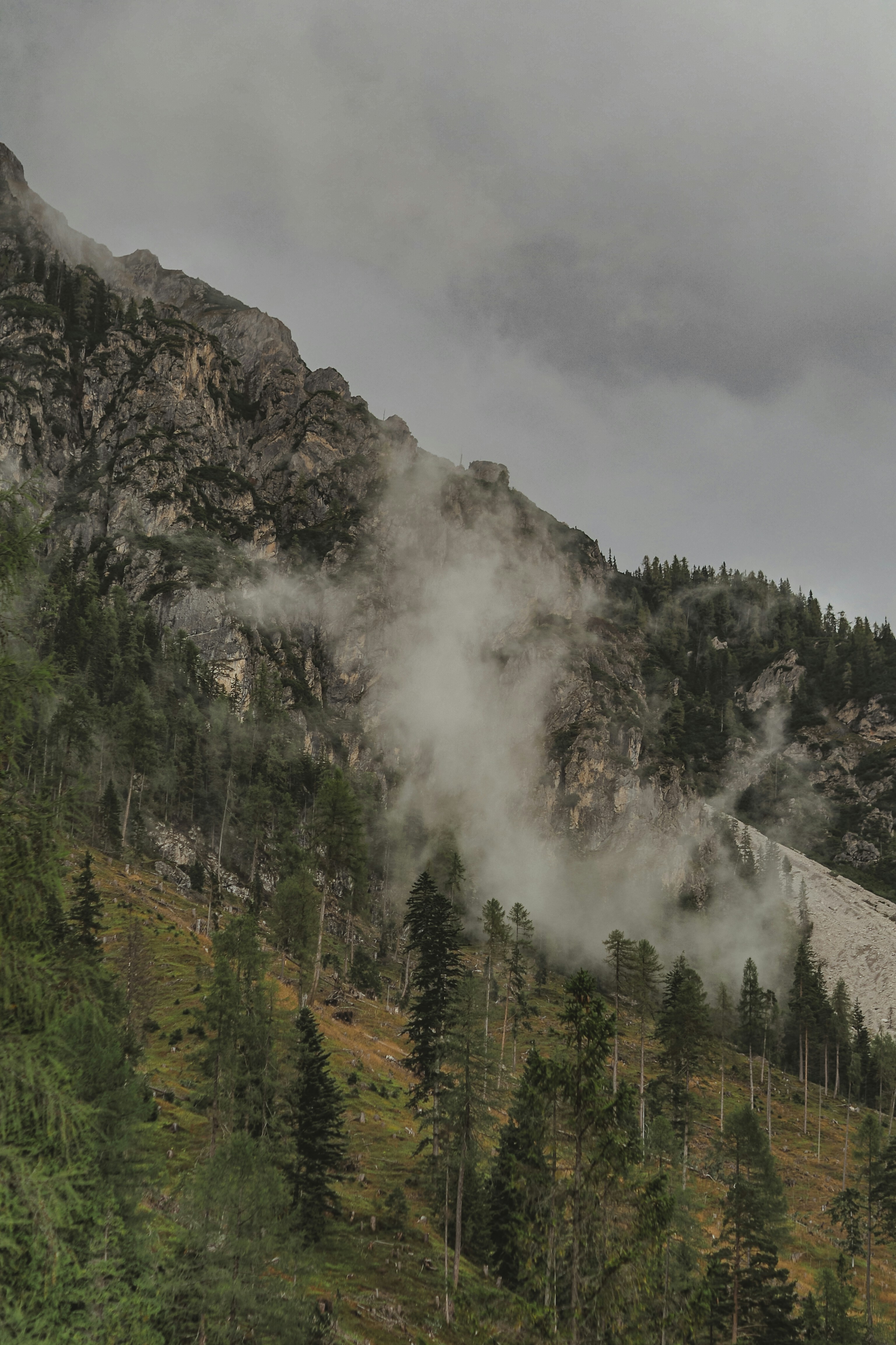 Photo by laurachouette