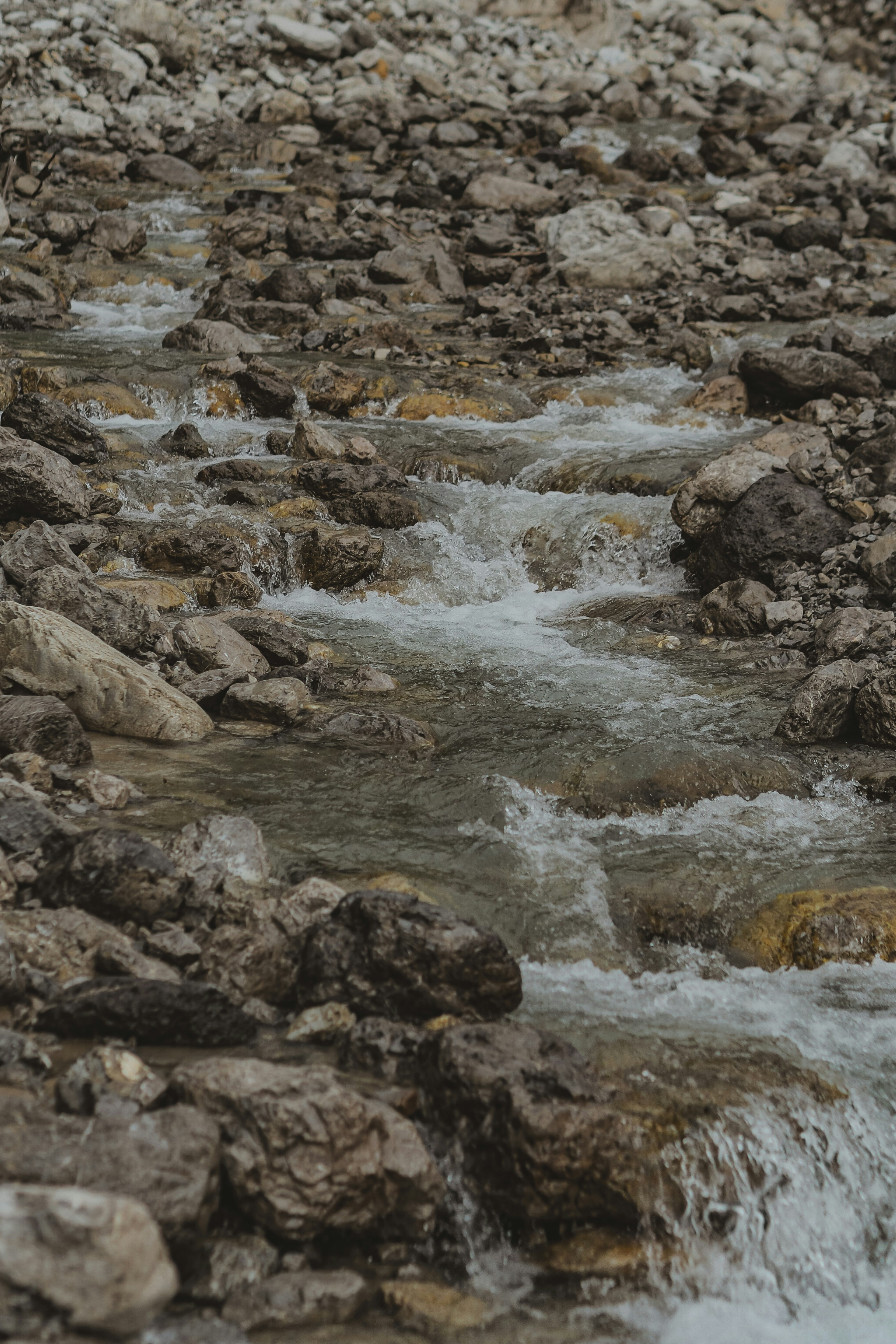 Photo by laurachouette