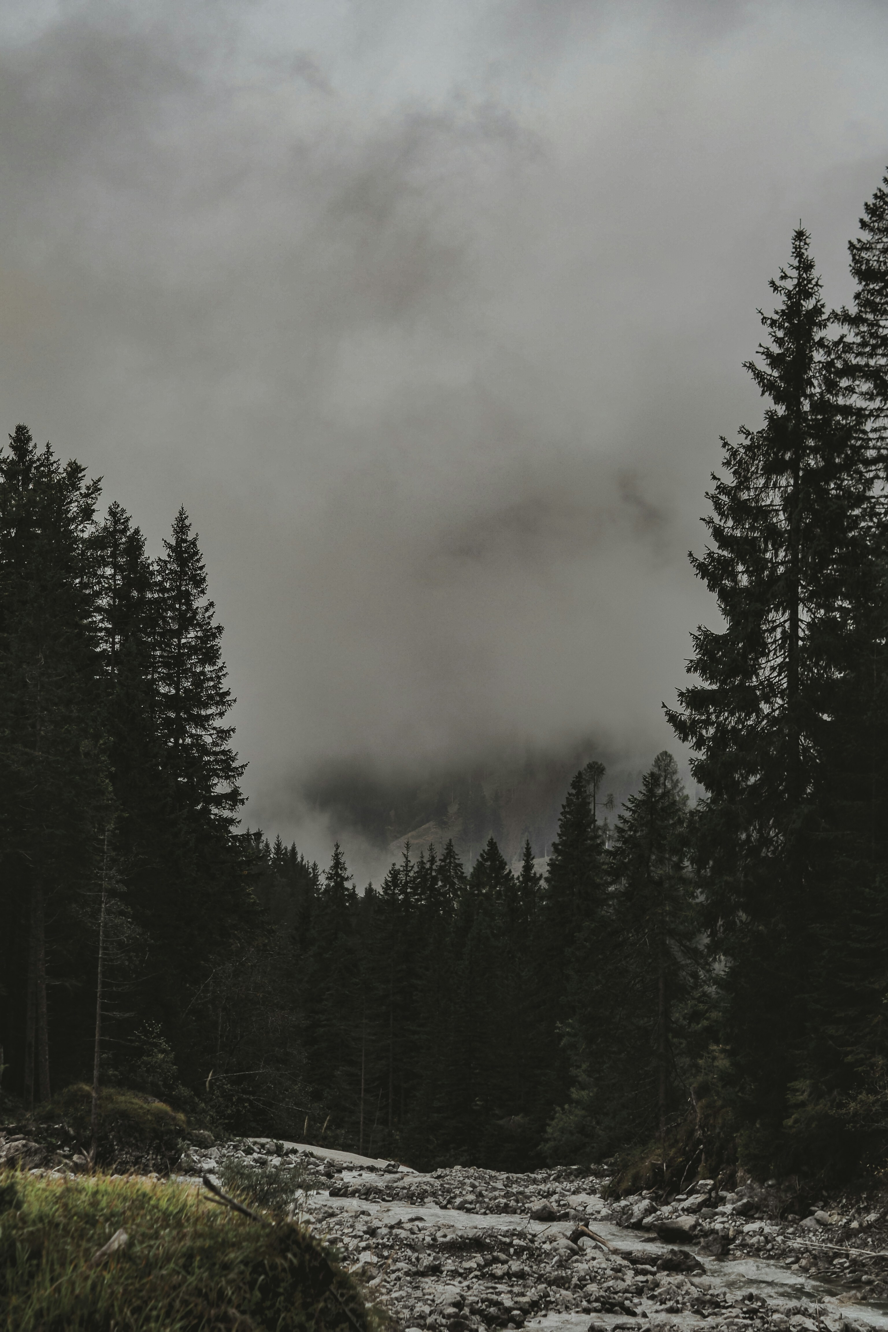 Photo by laurachouette