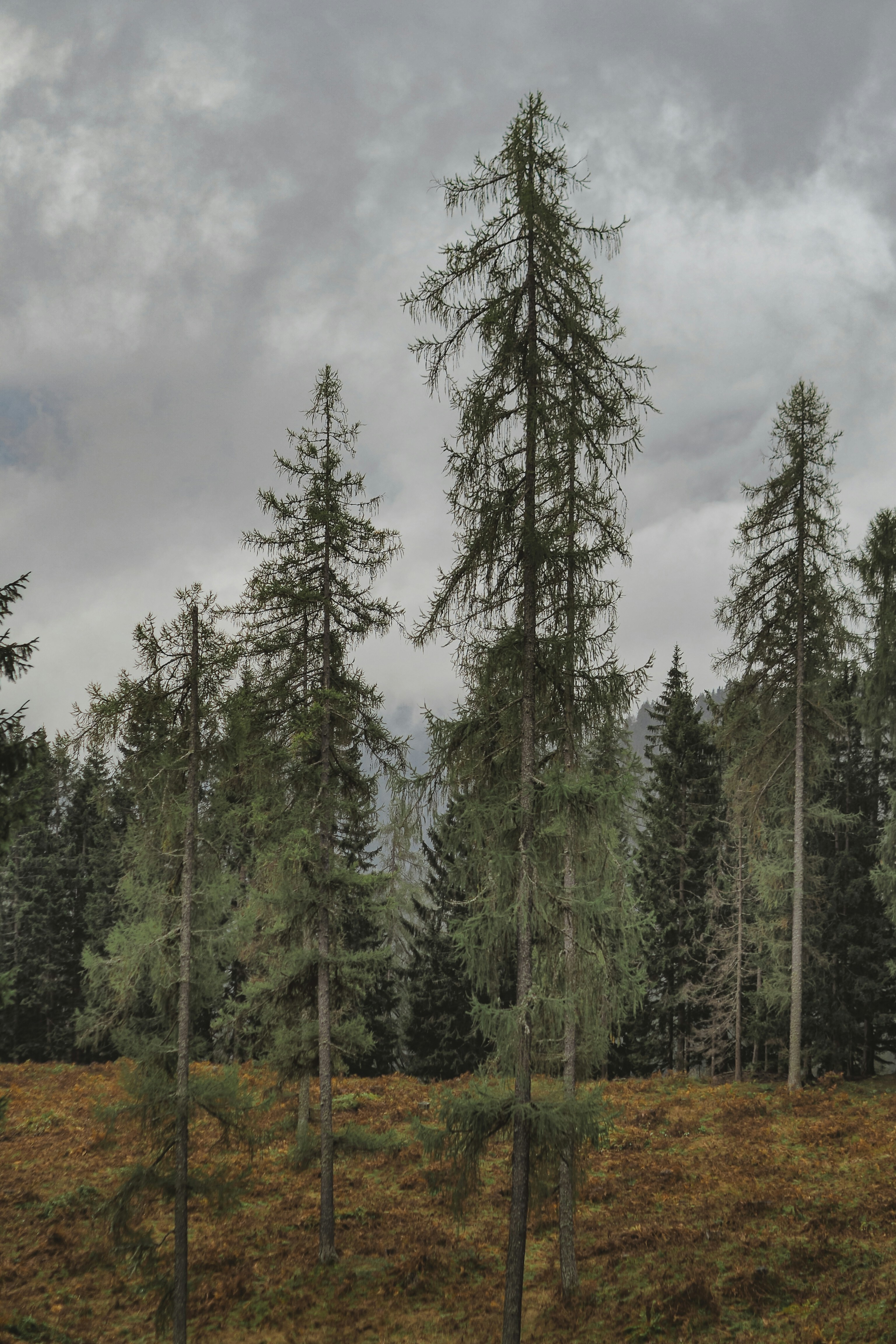 Photo by laurachouette