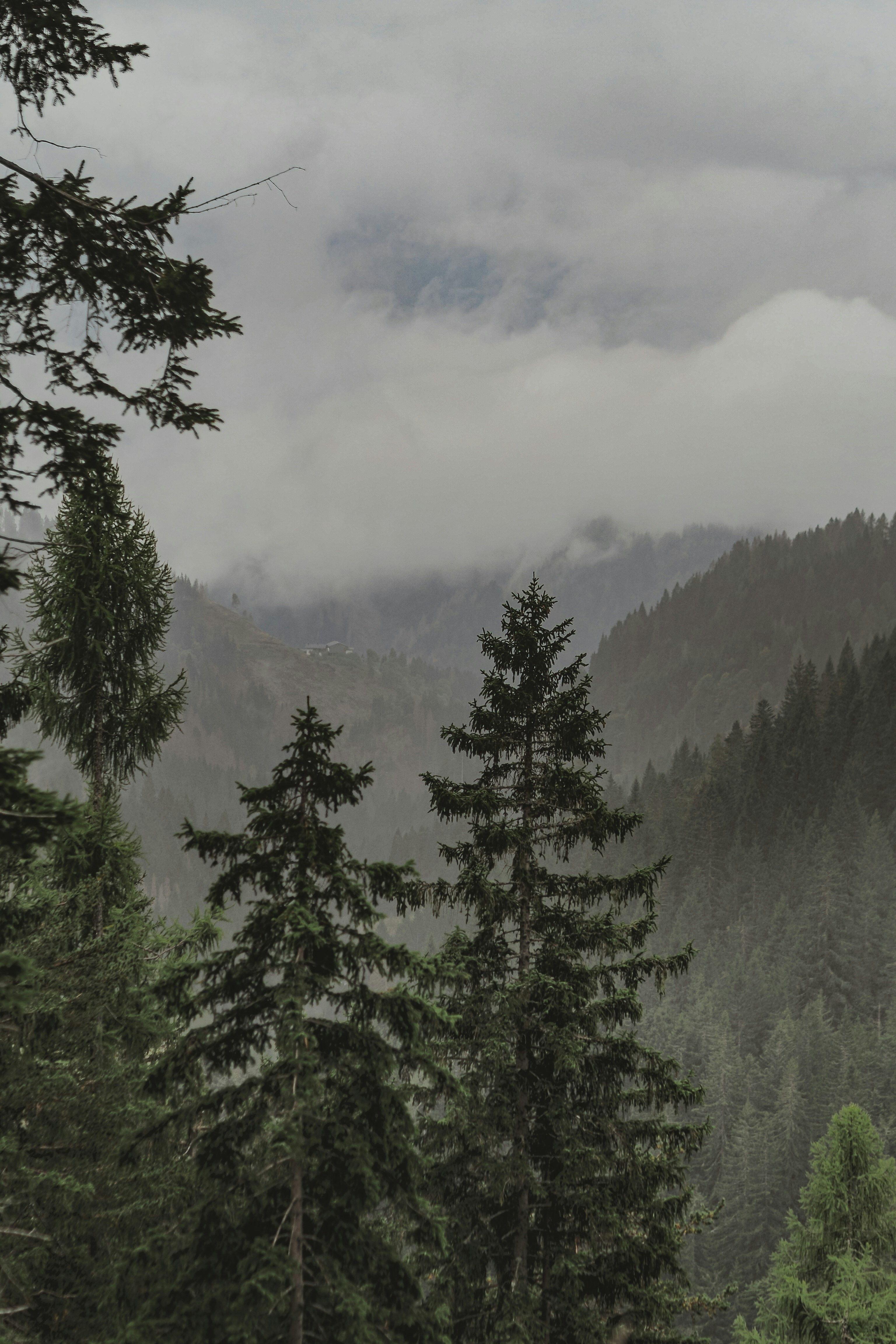 Photo by laurachouette