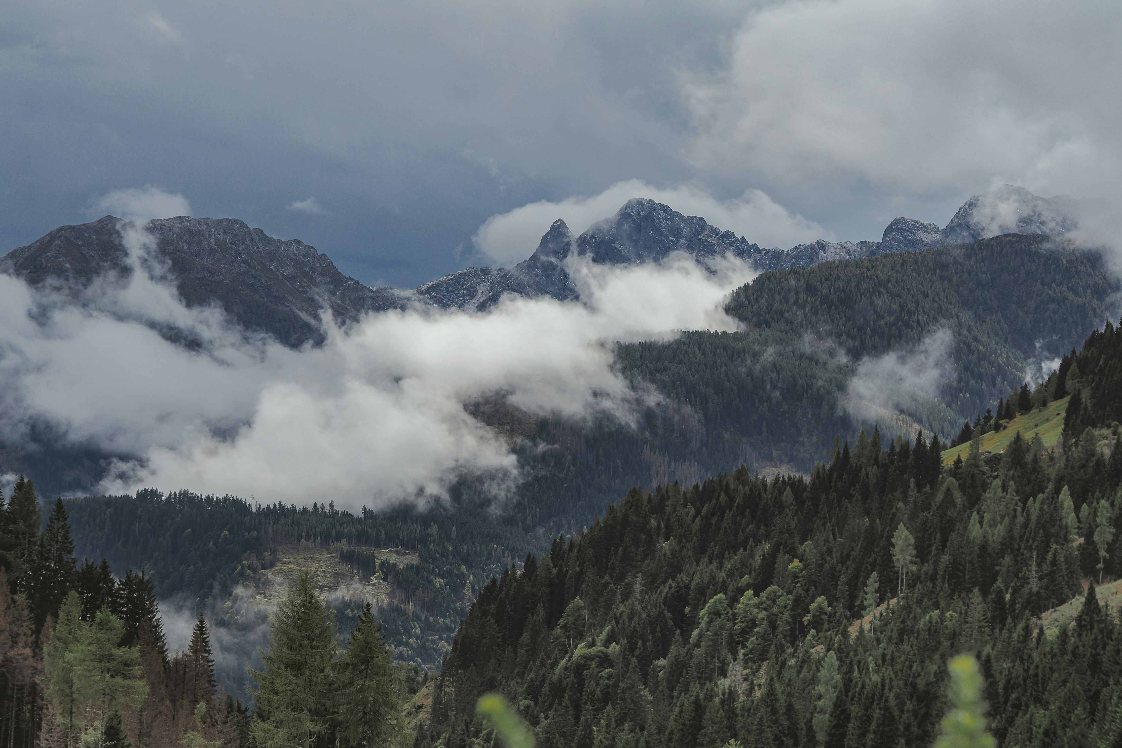 Photo by laurachouette