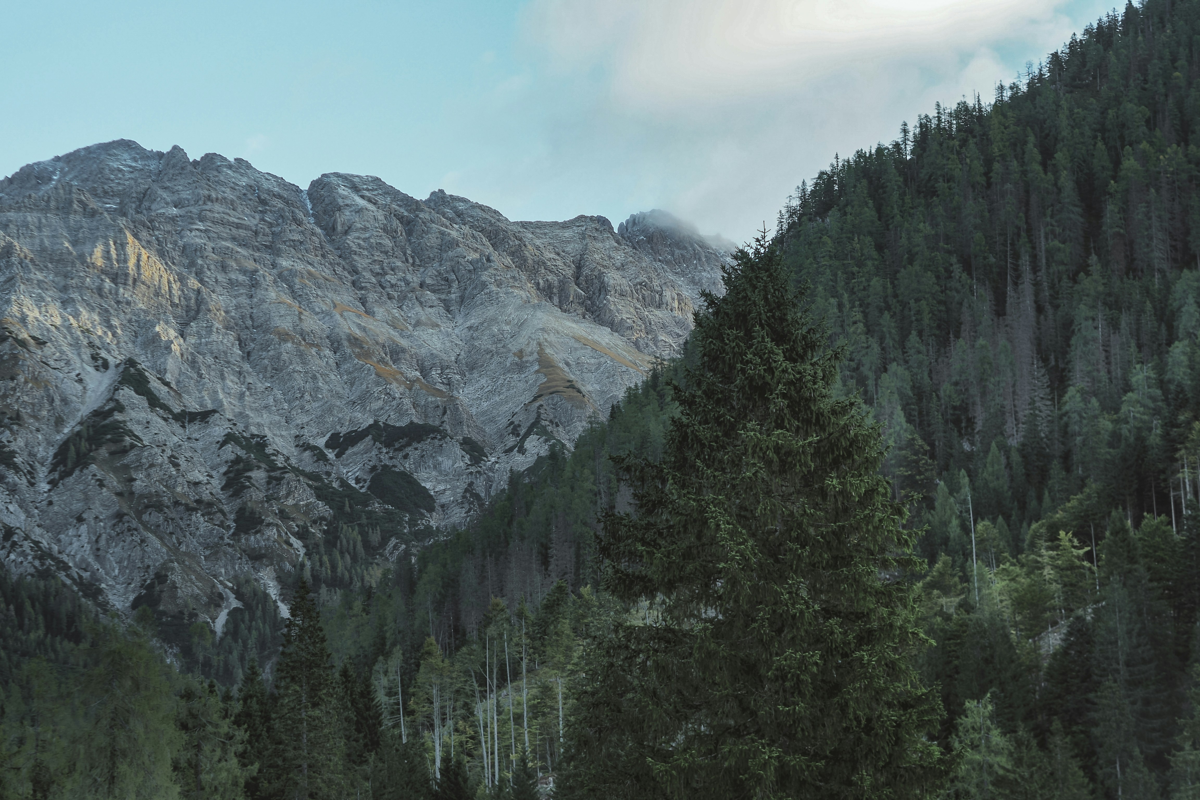 Photo by laurachouette