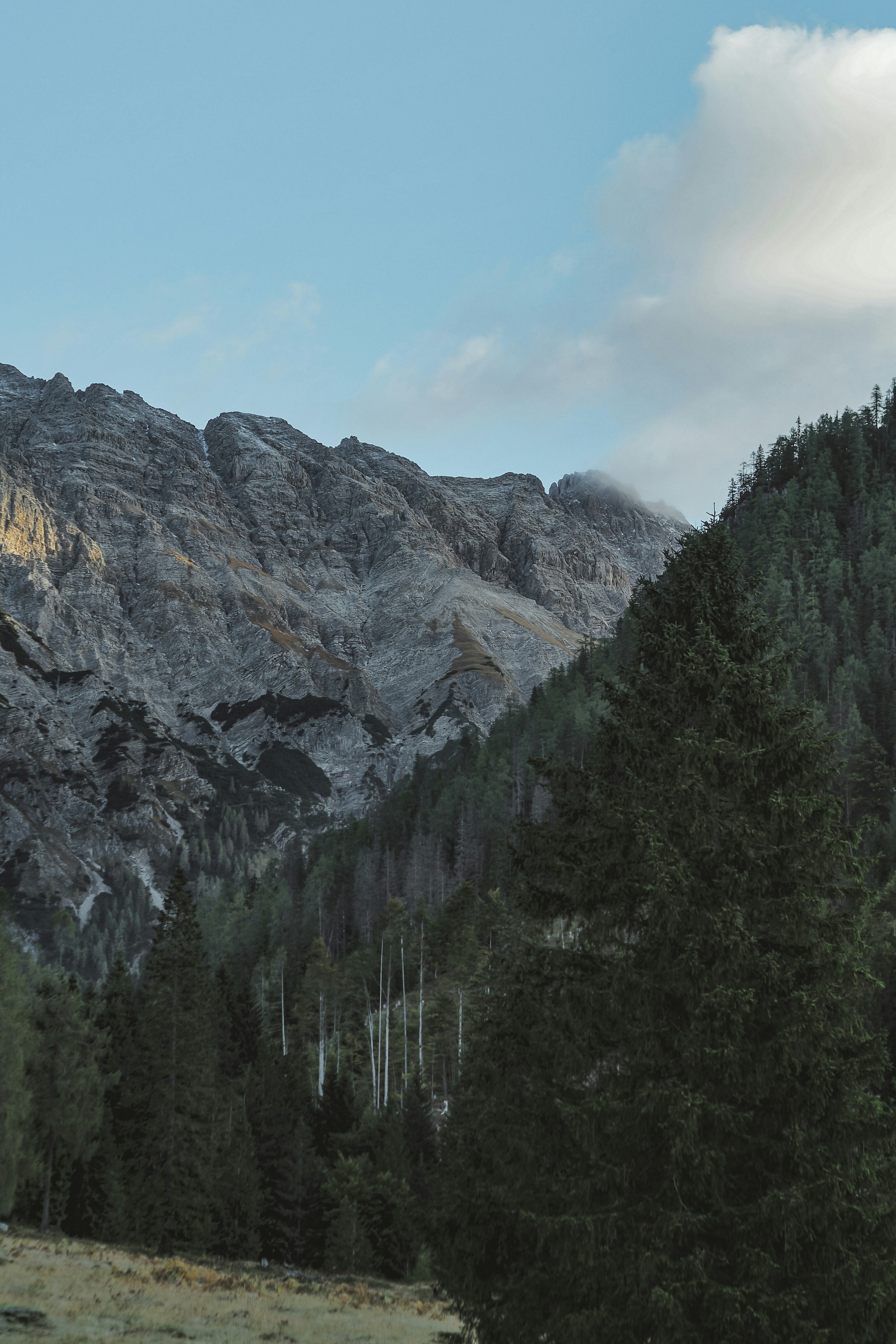 Photo by laurachouette