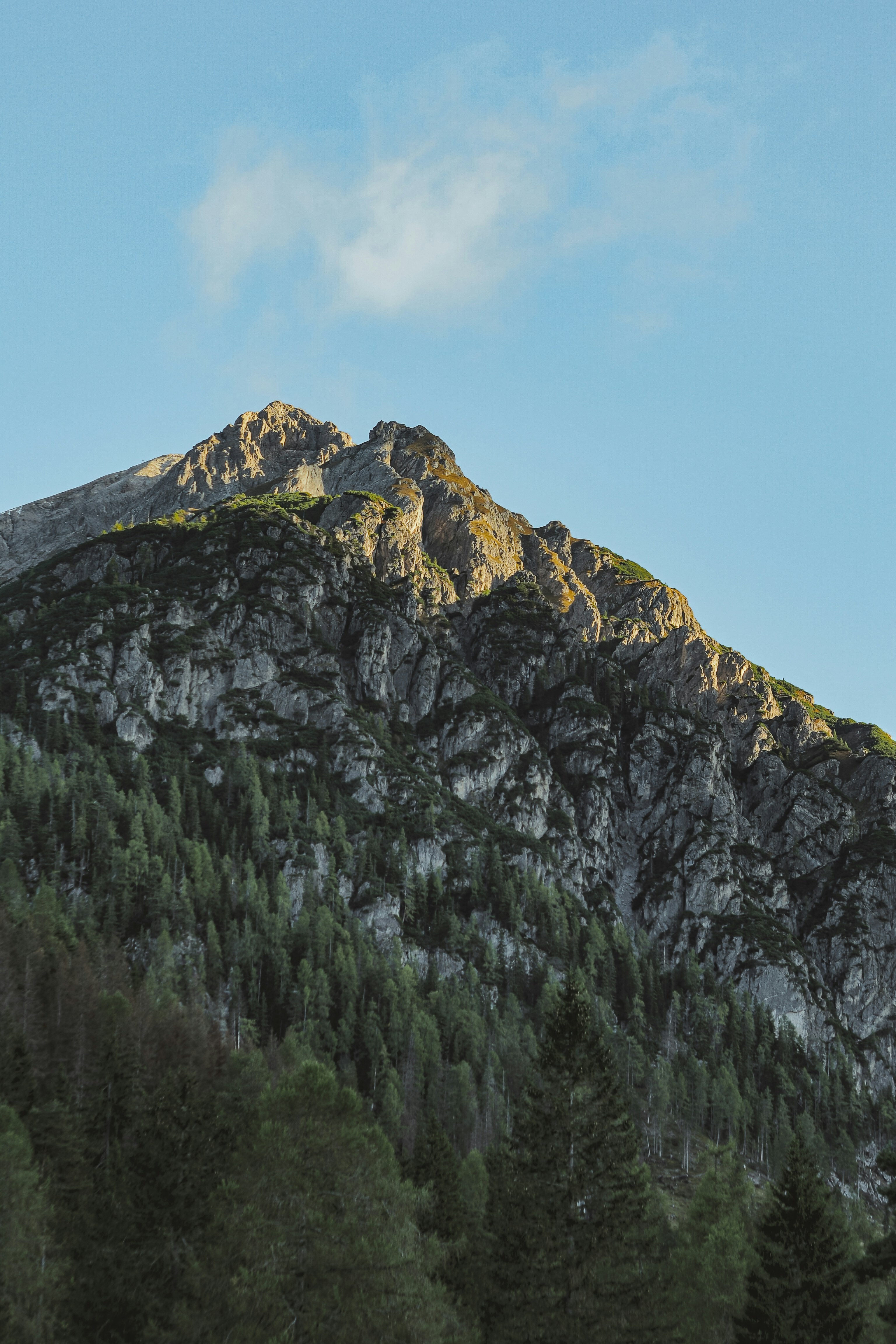 Photo by laurachouette