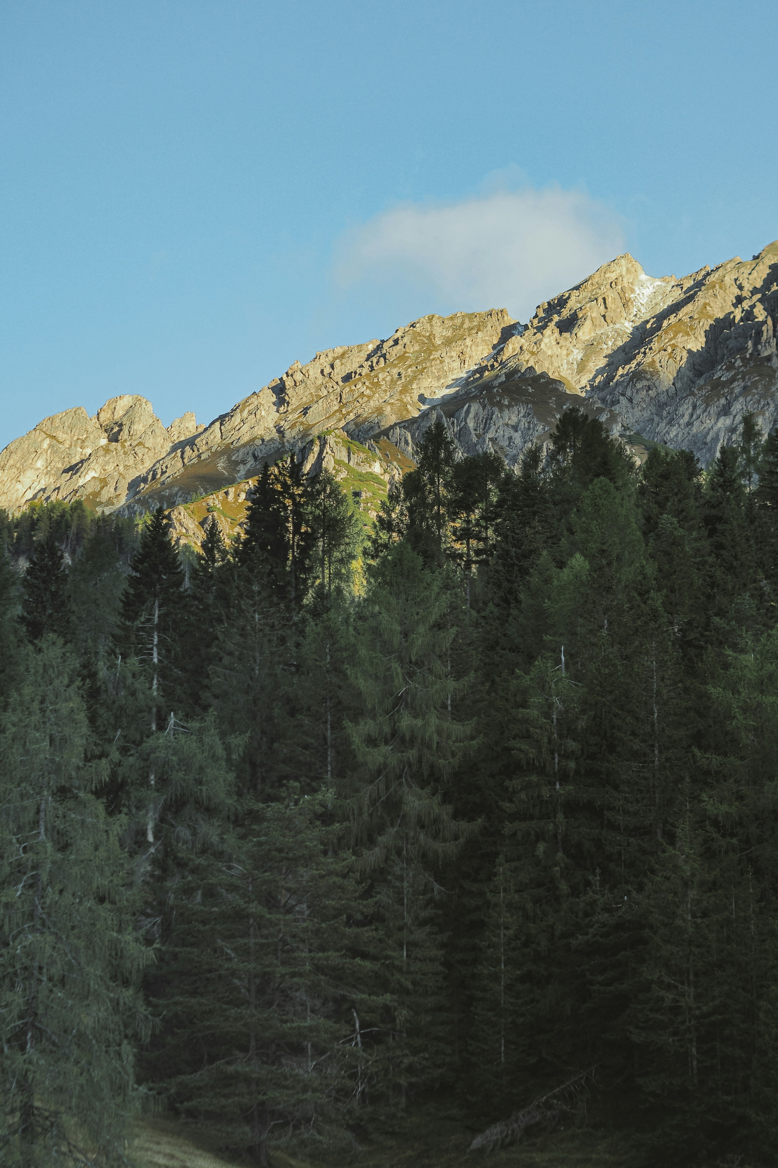 Photo by laurachouette