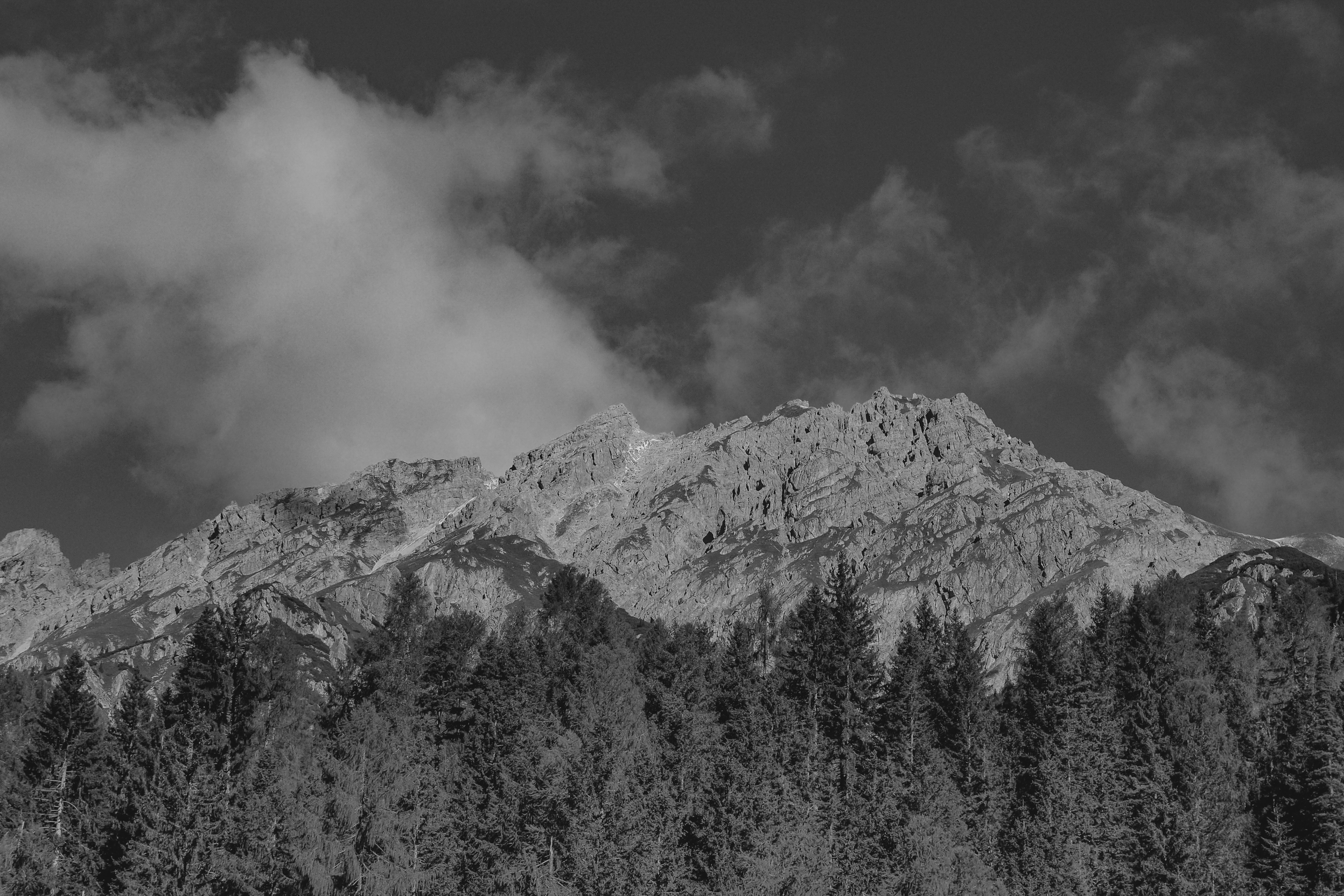 Photo by laurachouette