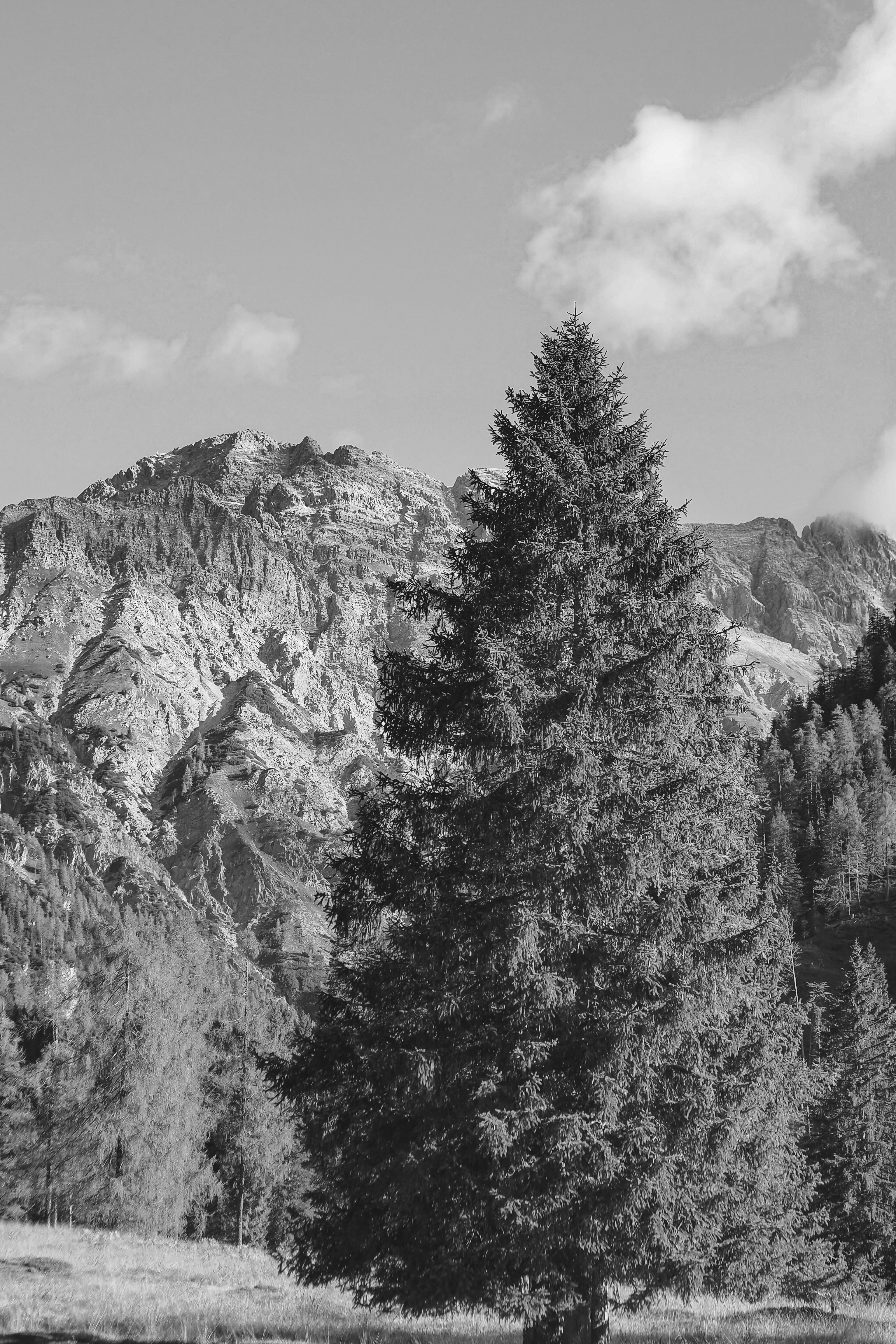 Photo by laurachouette