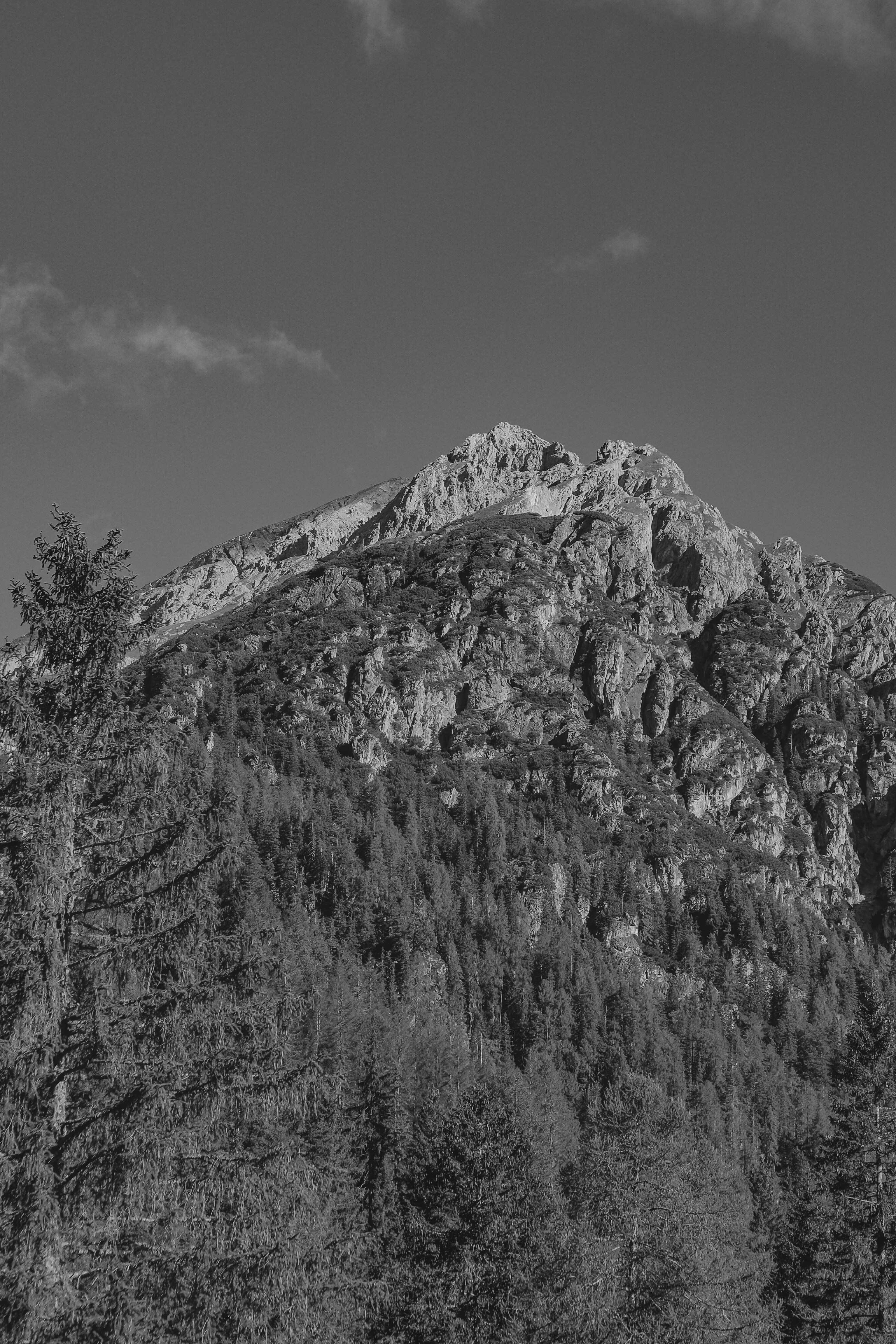 Photo by laurachouette