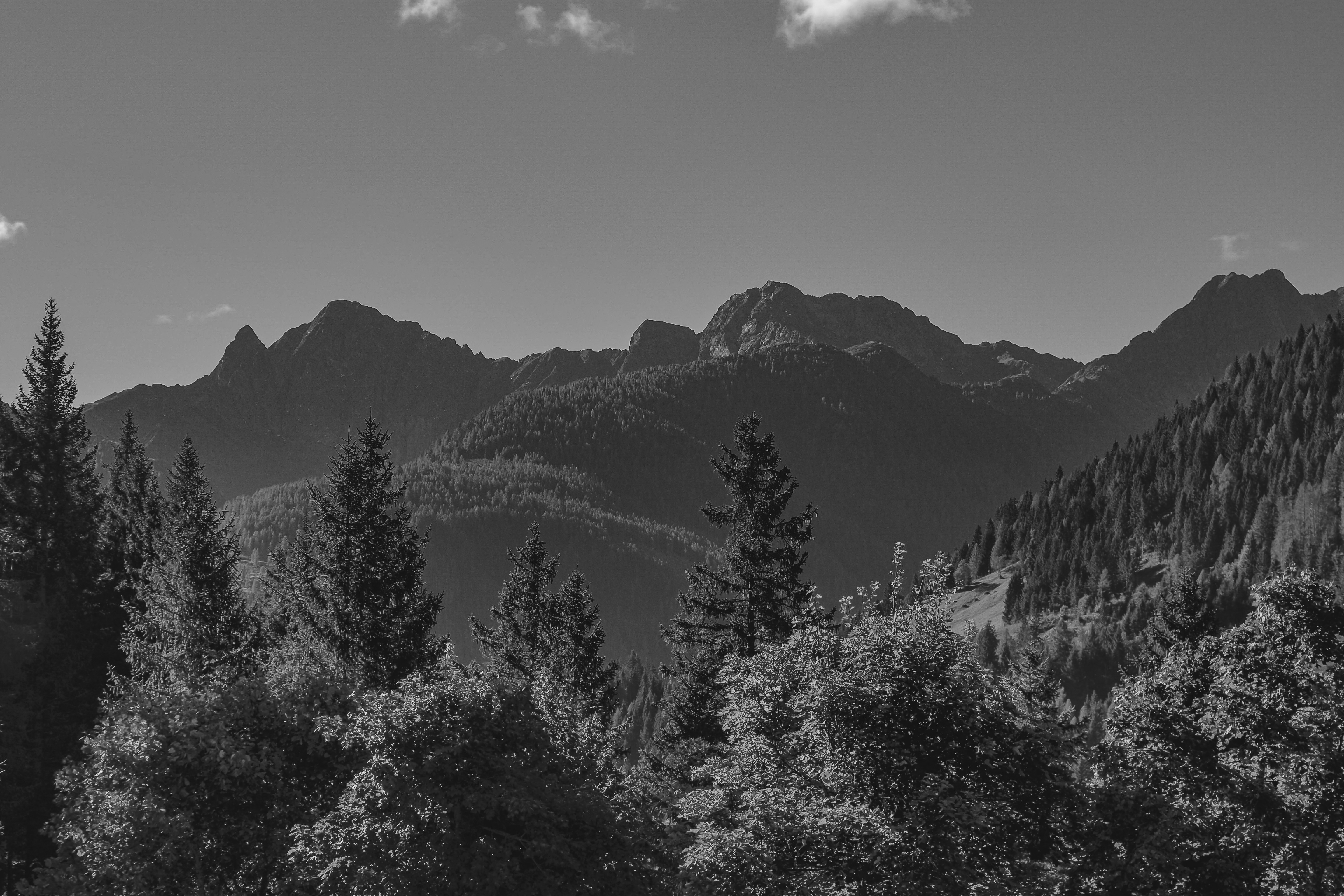 Photo by laurachouette