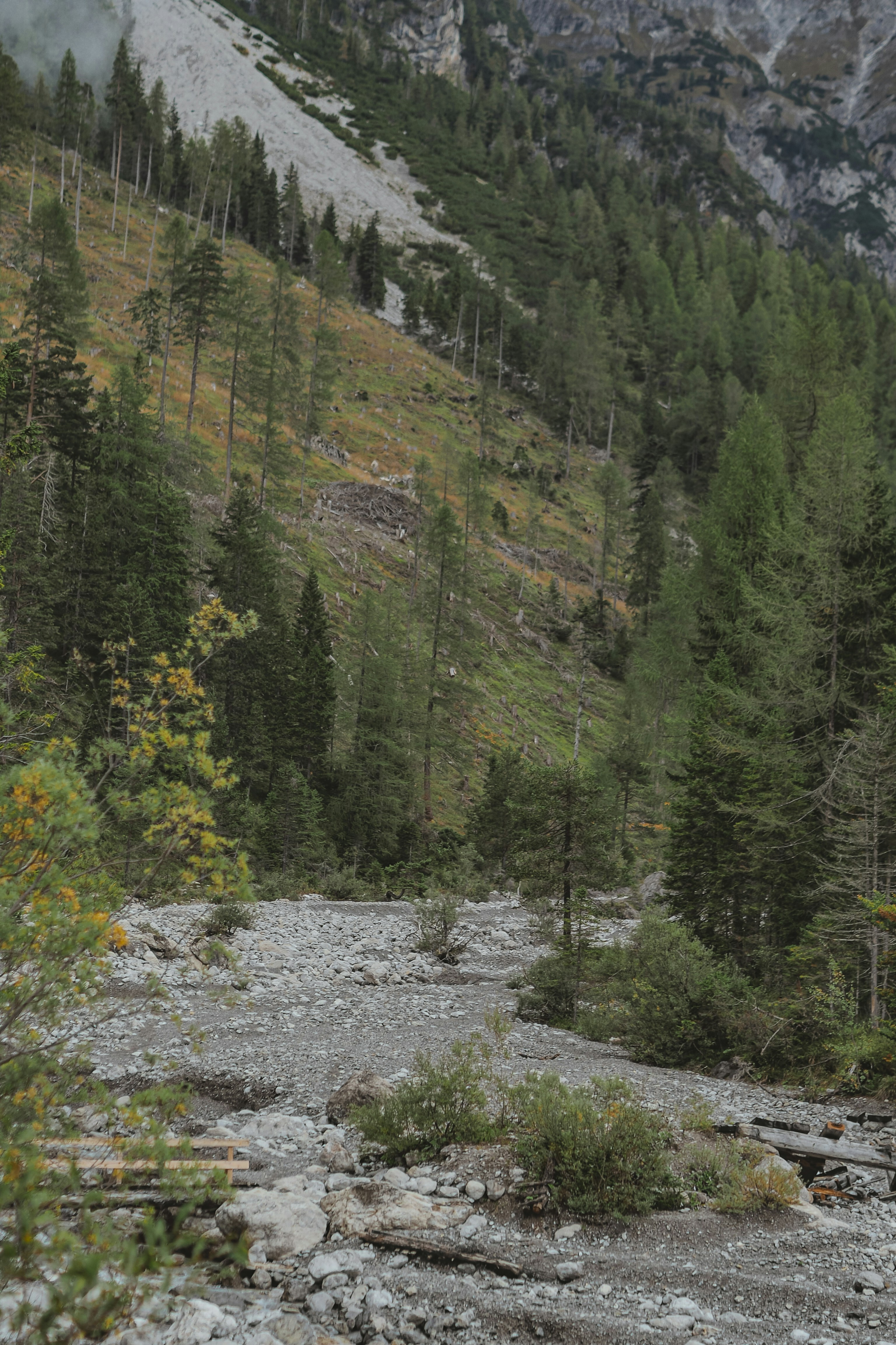 Photo by laurachouette