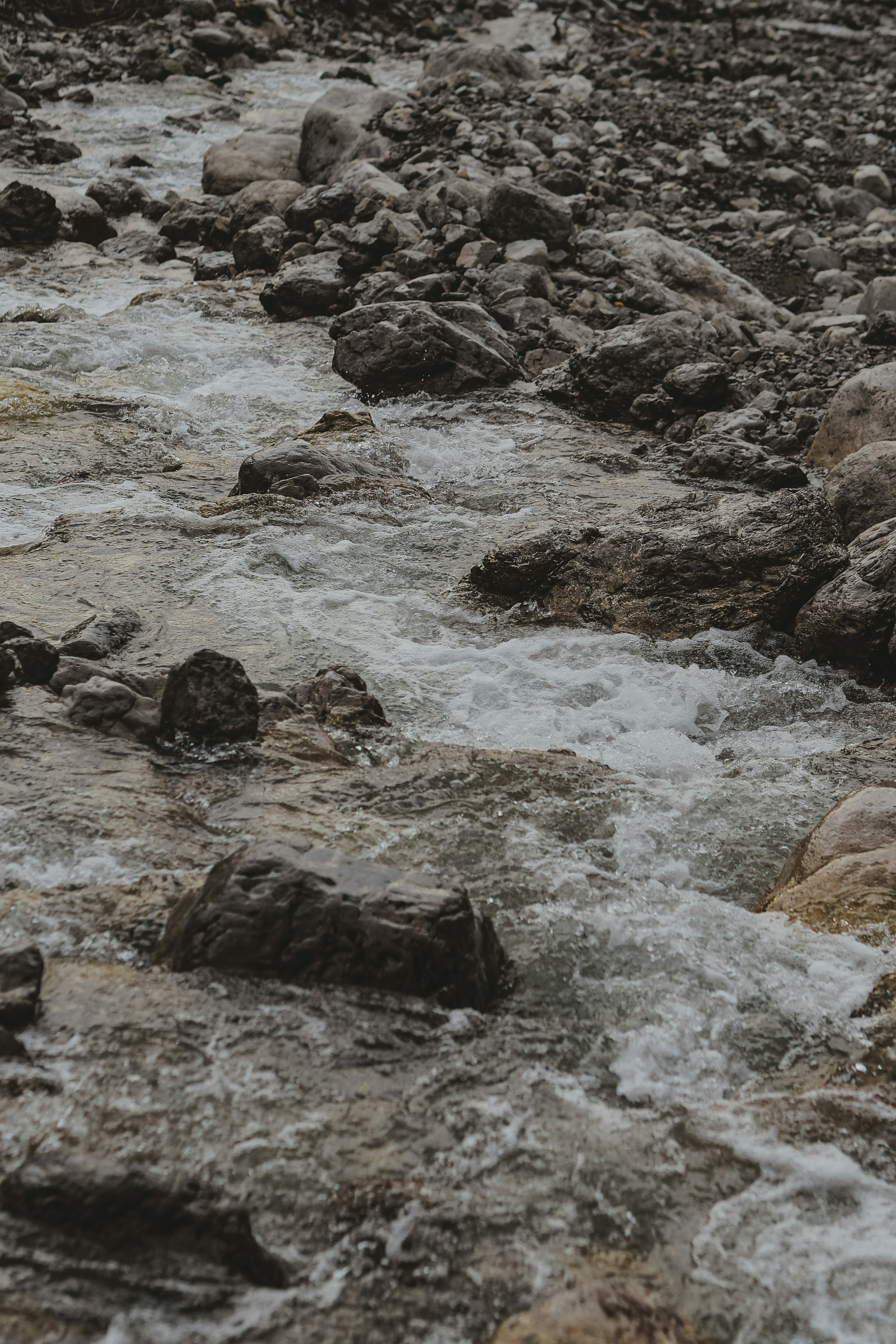 Photo by laurachouette