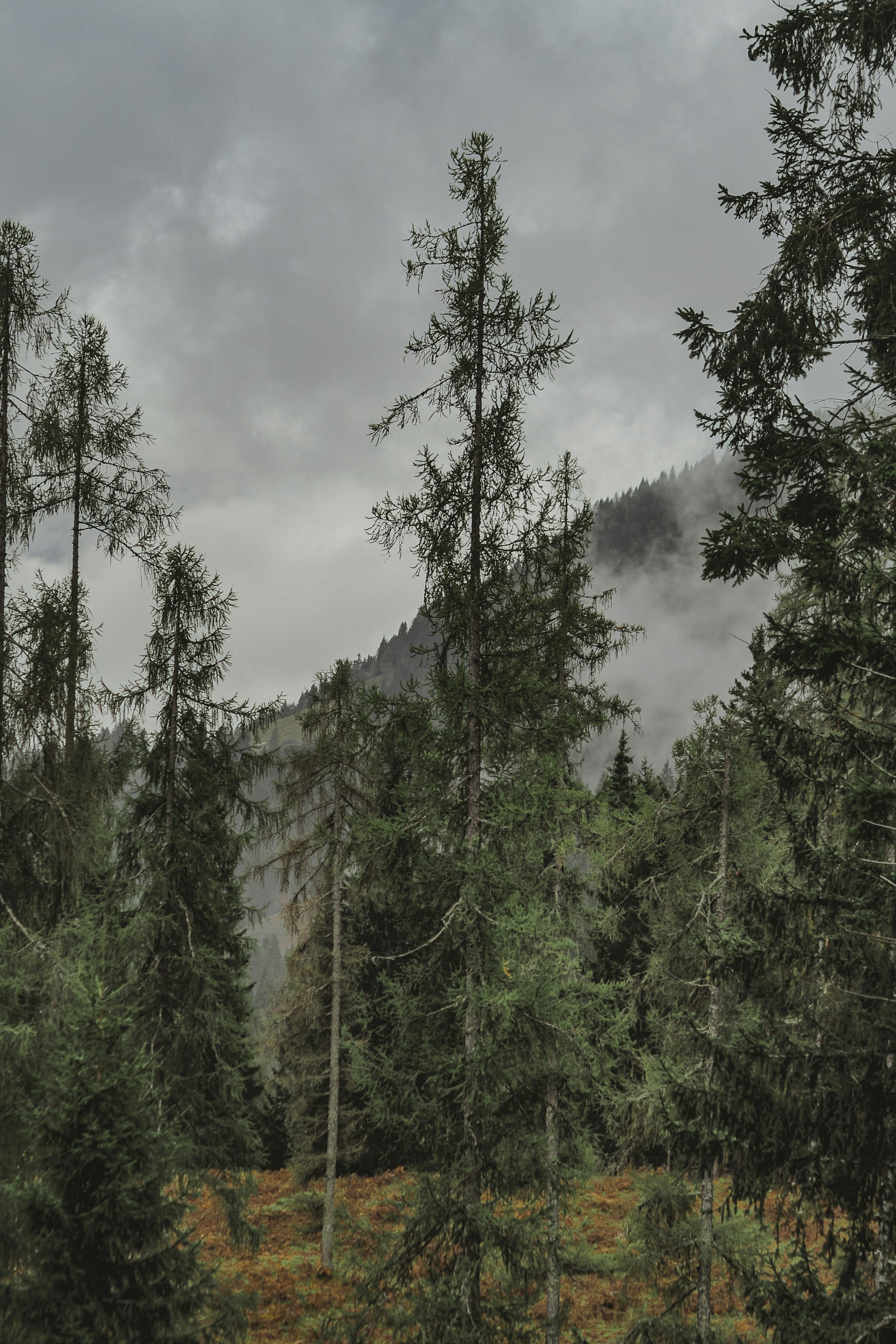 Photo by laurachouette