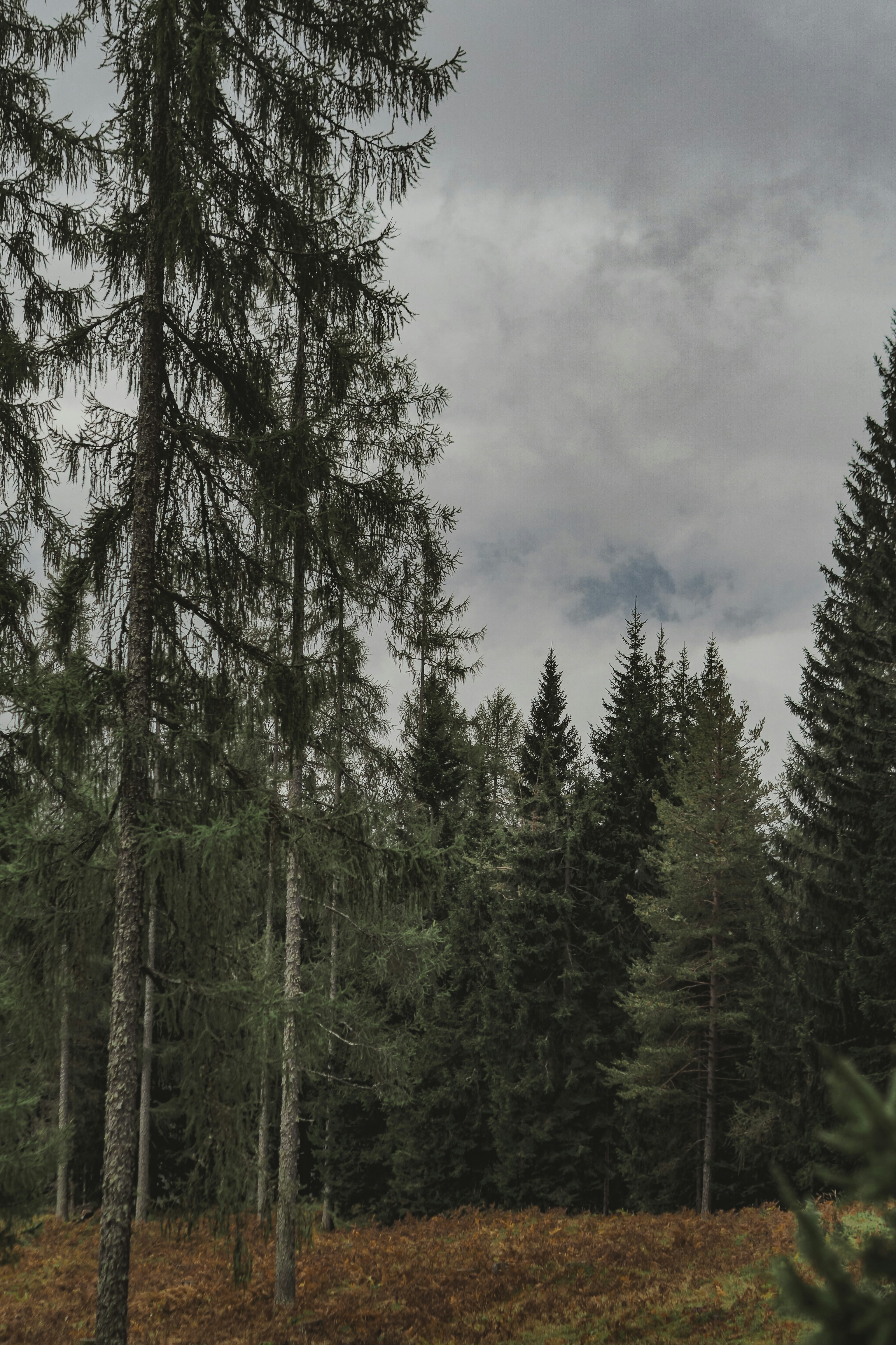 Photo by laurachouette