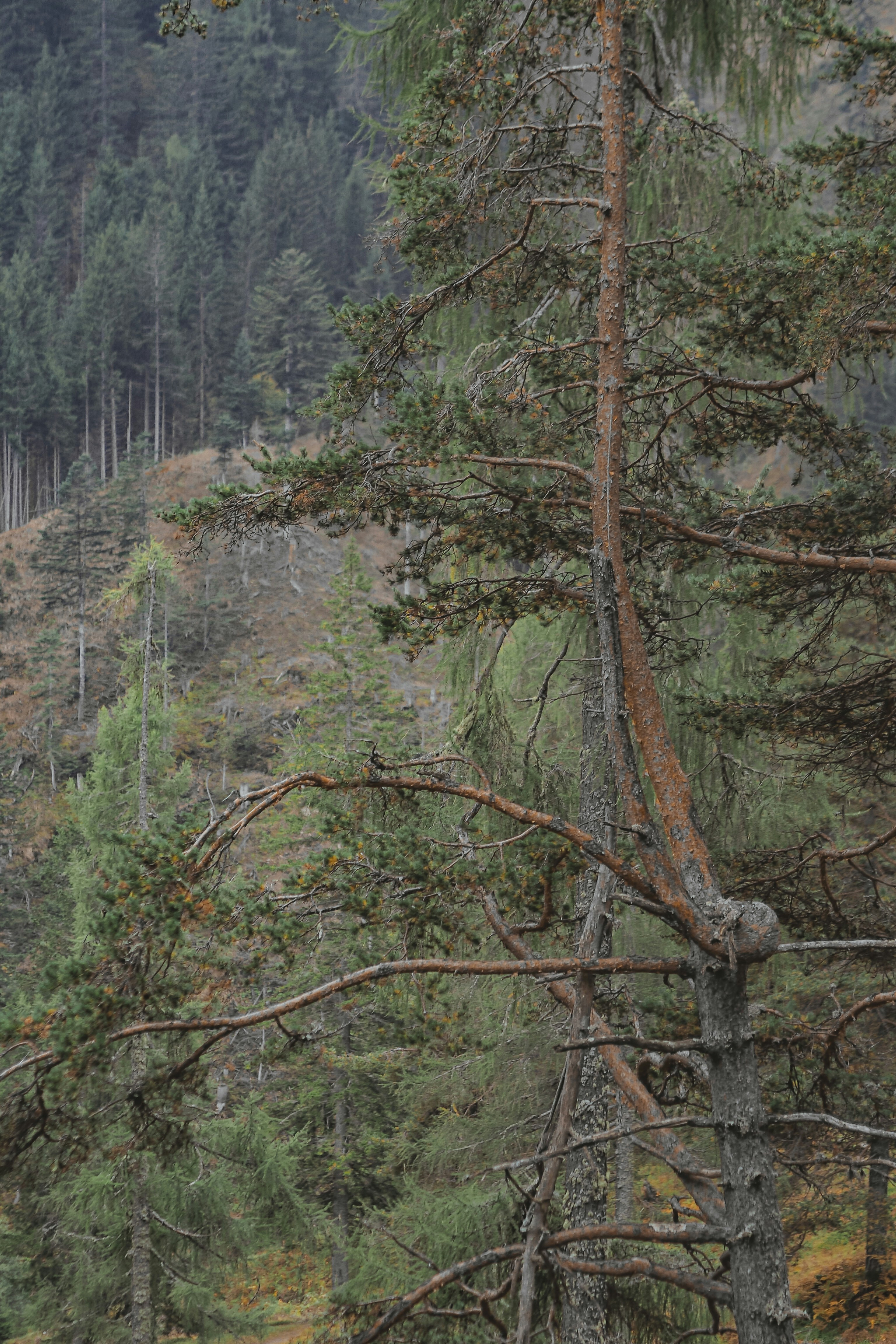 Photo by laurachouette