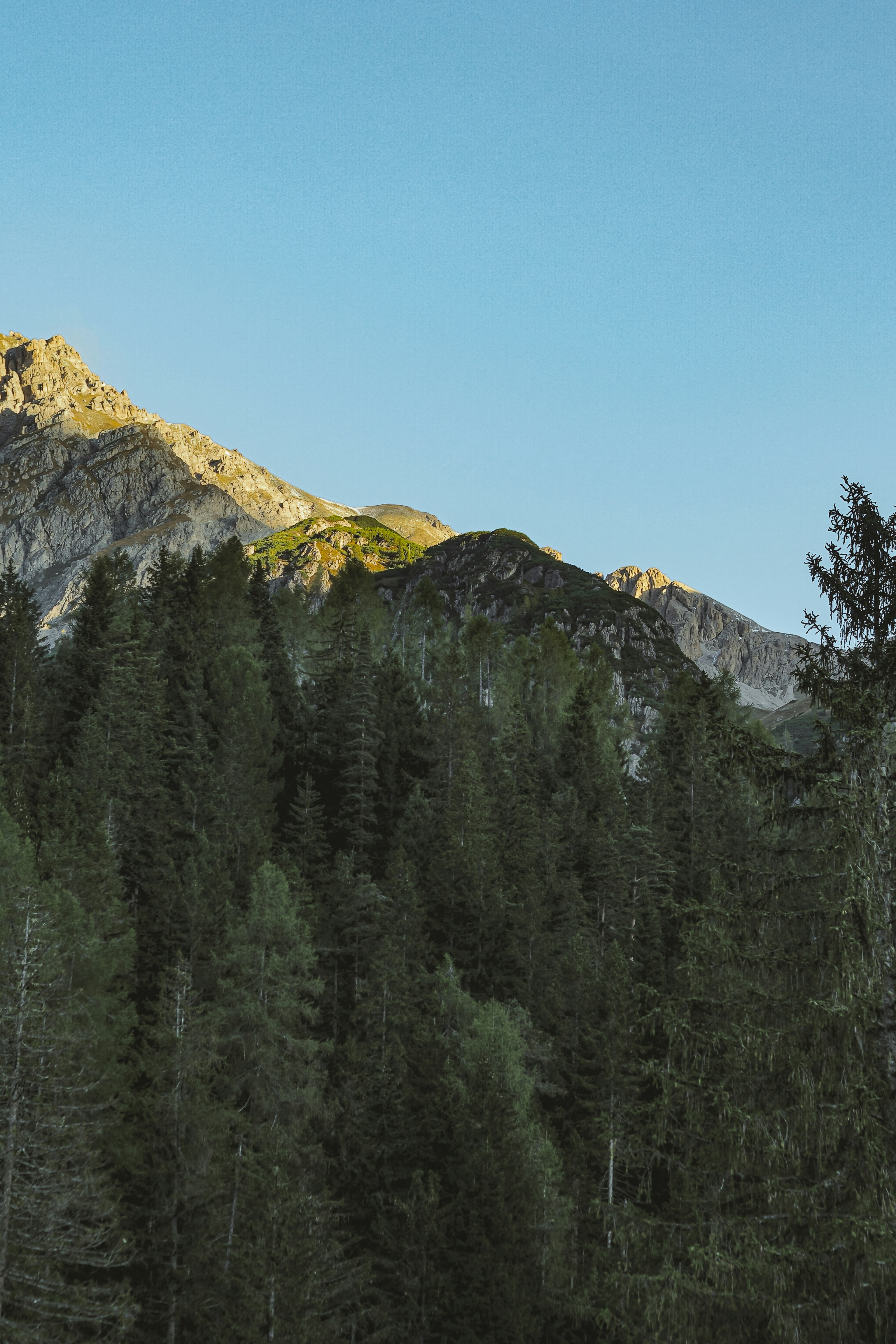 Photo by laurachouette