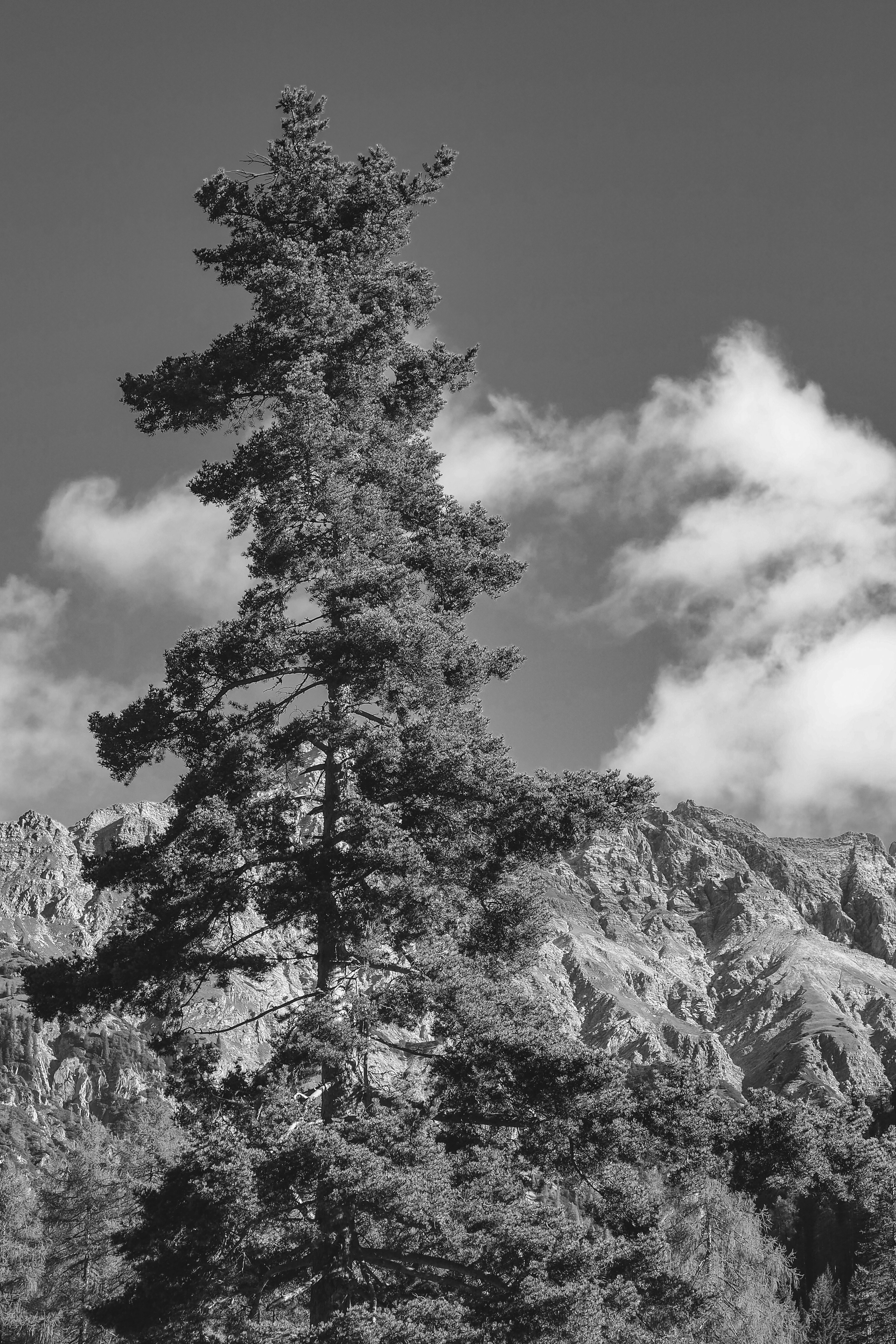 Photo by laurachouette