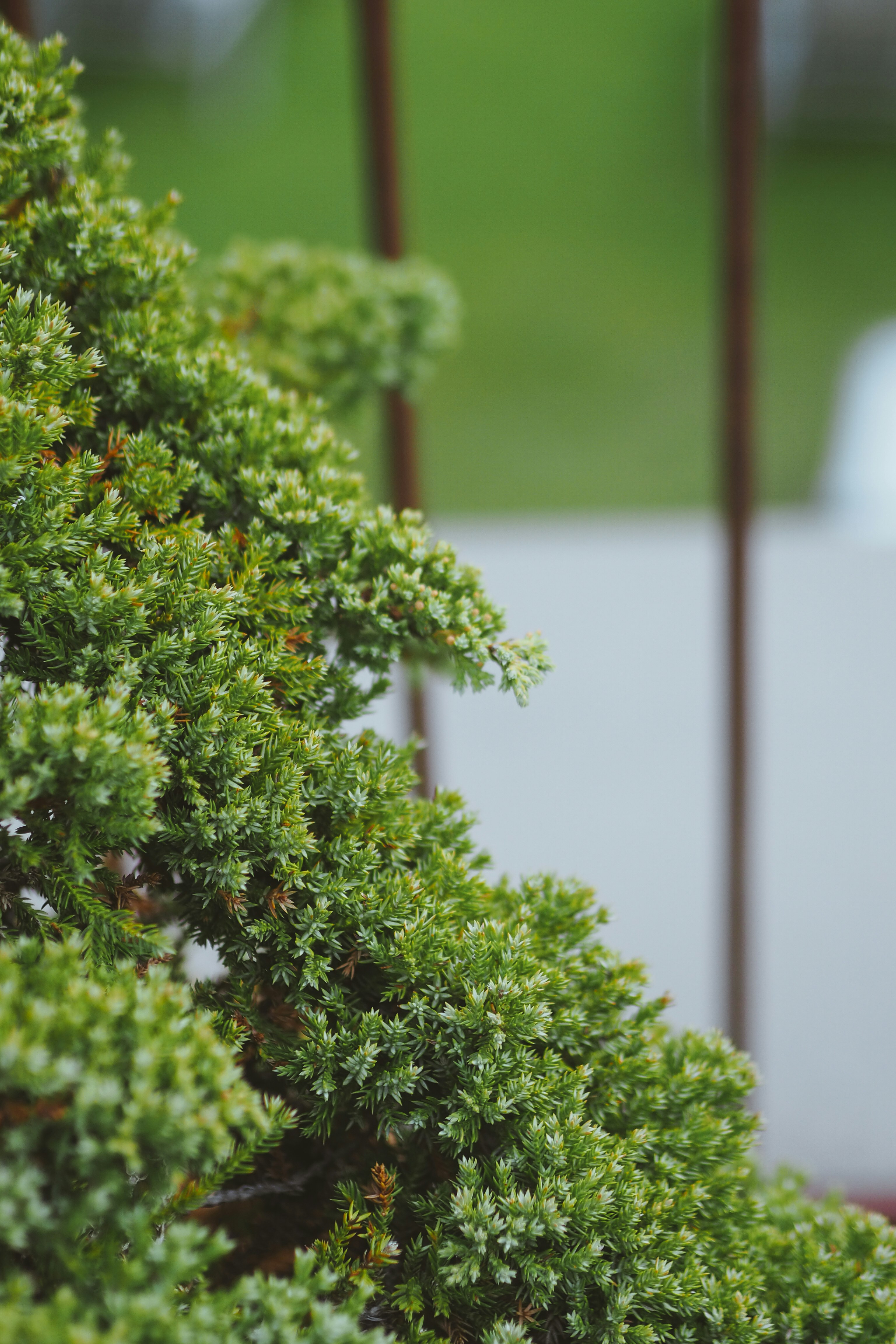 Photo by laurachouette