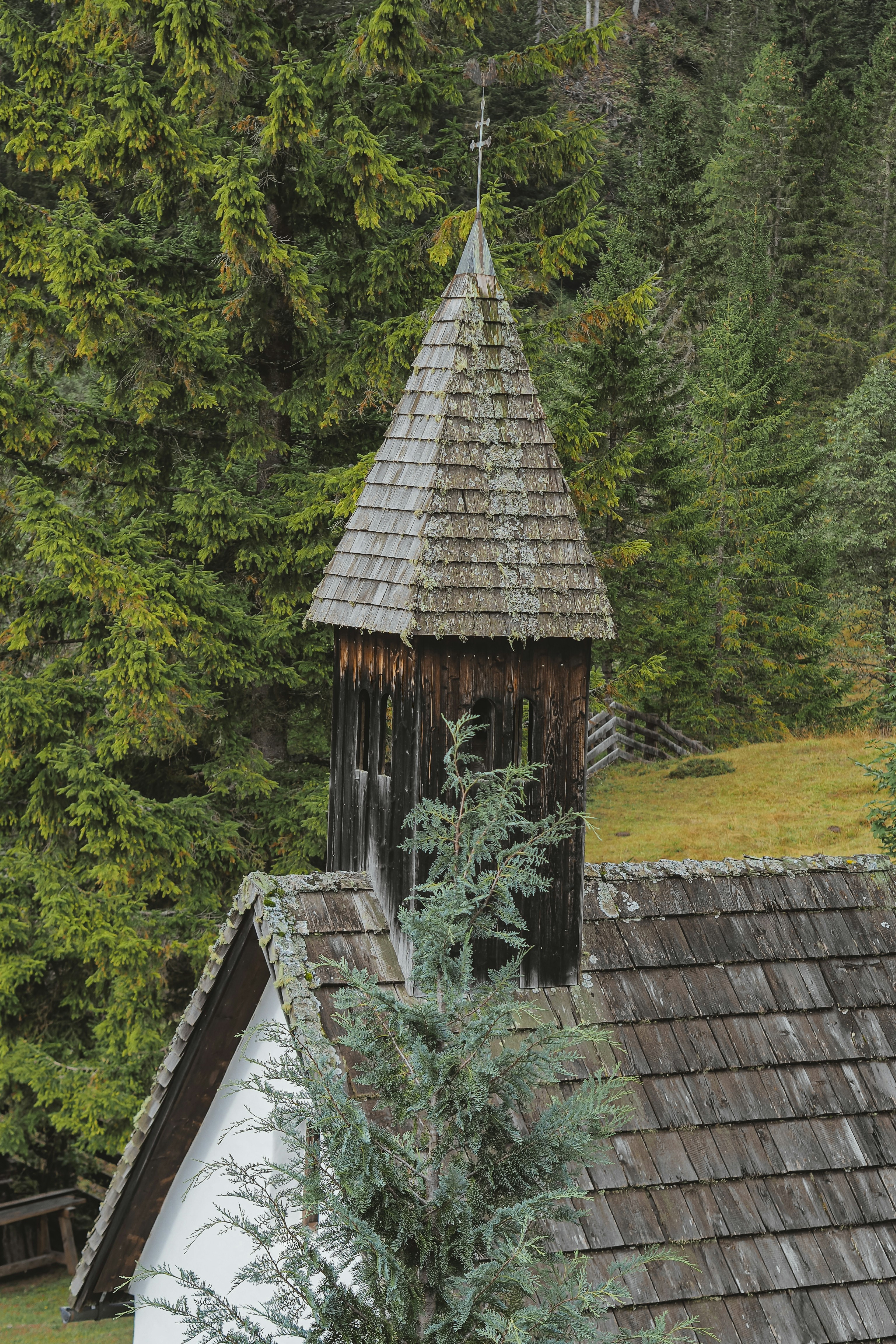 Photo by laurachouette