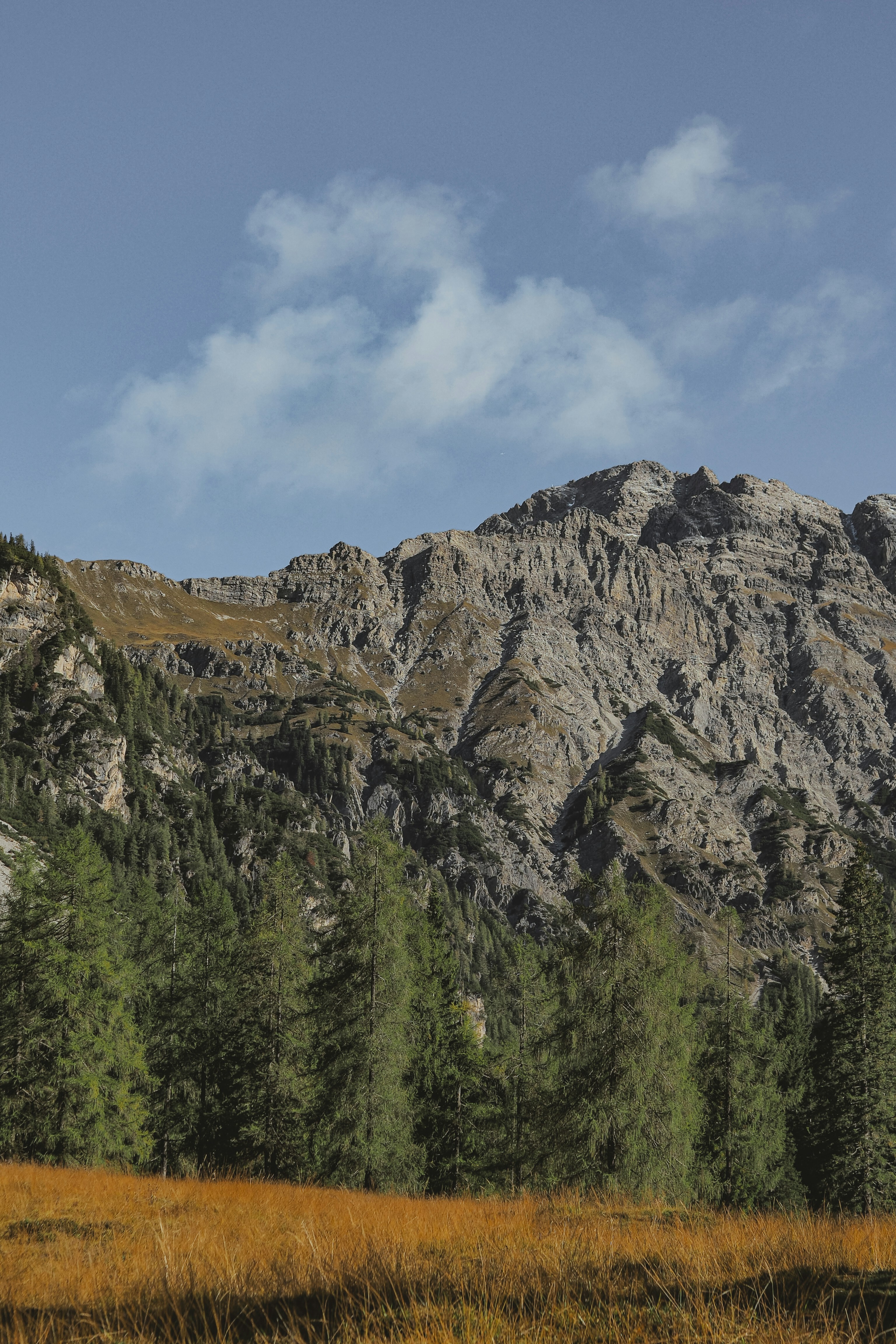 Photo by laurachouette