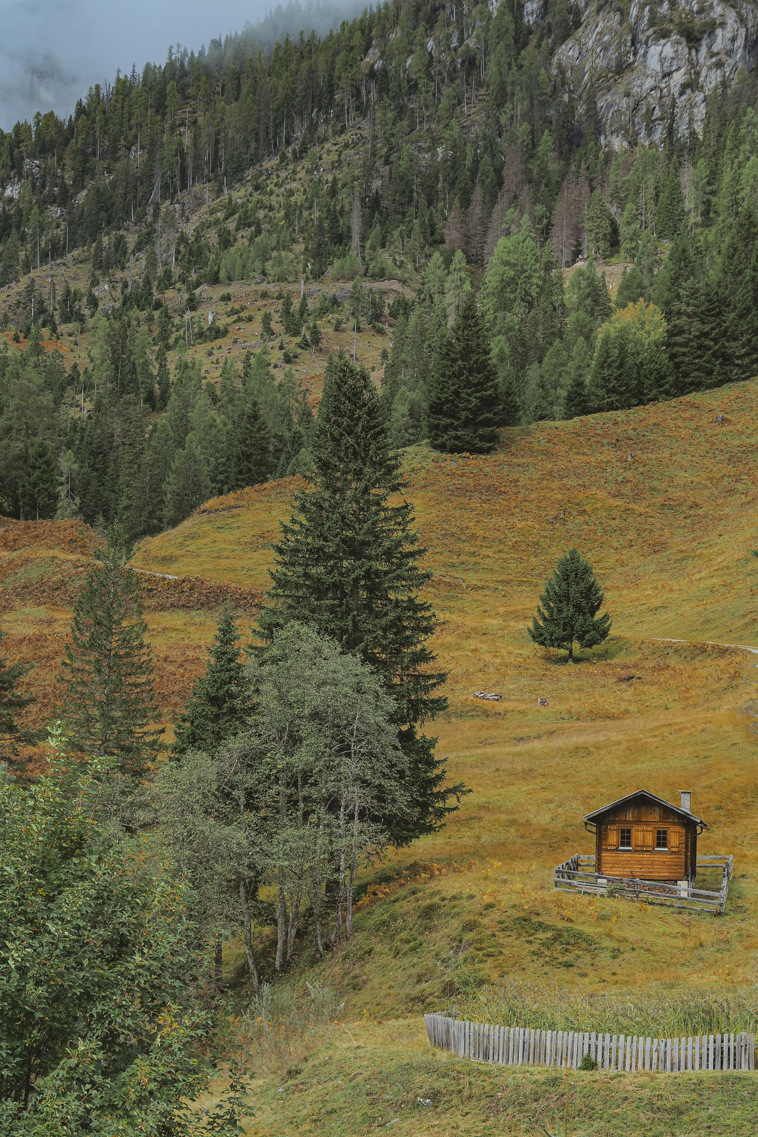 Photo by laurachouette