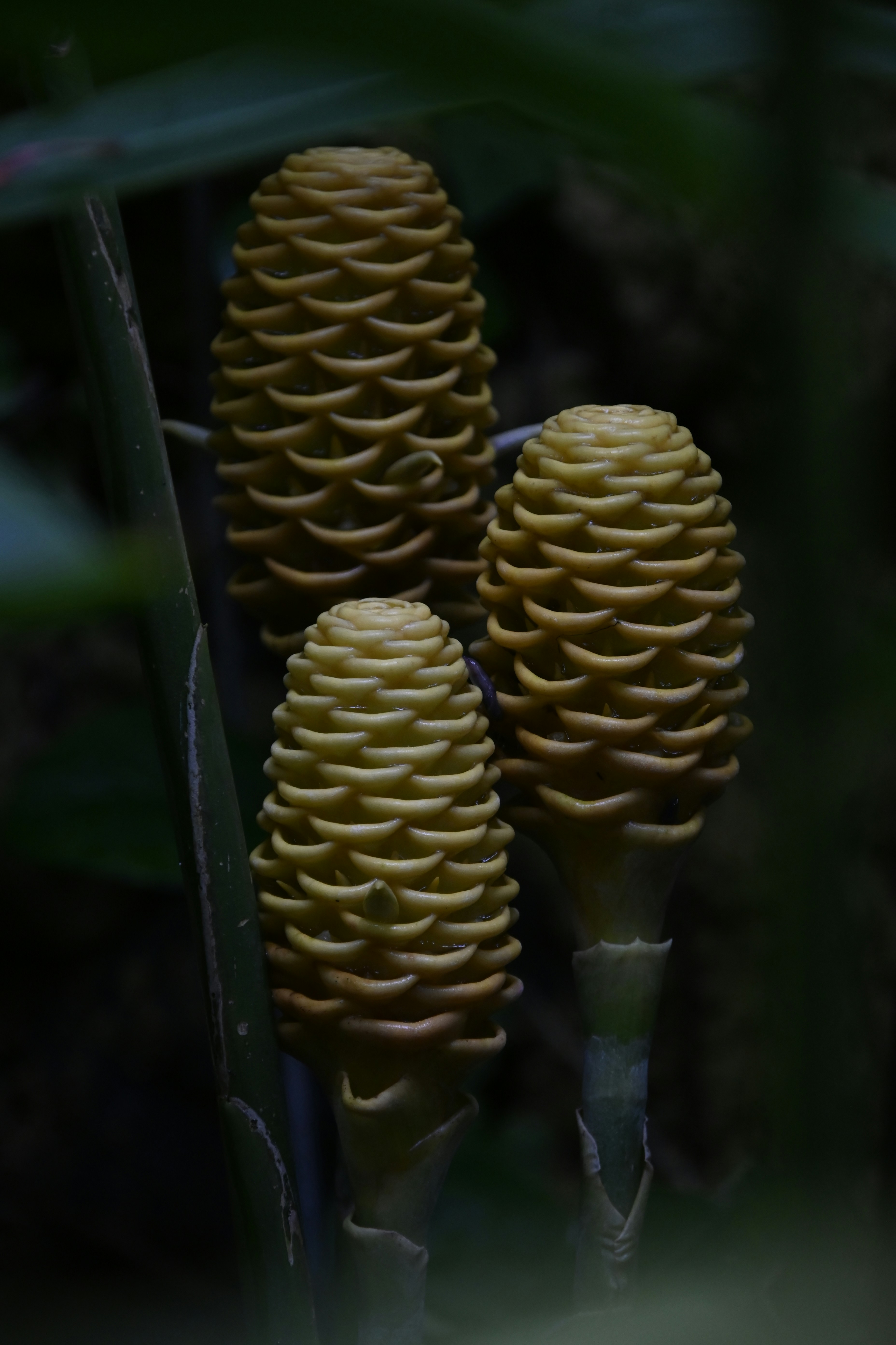 Photo by wouter_van_der_velde