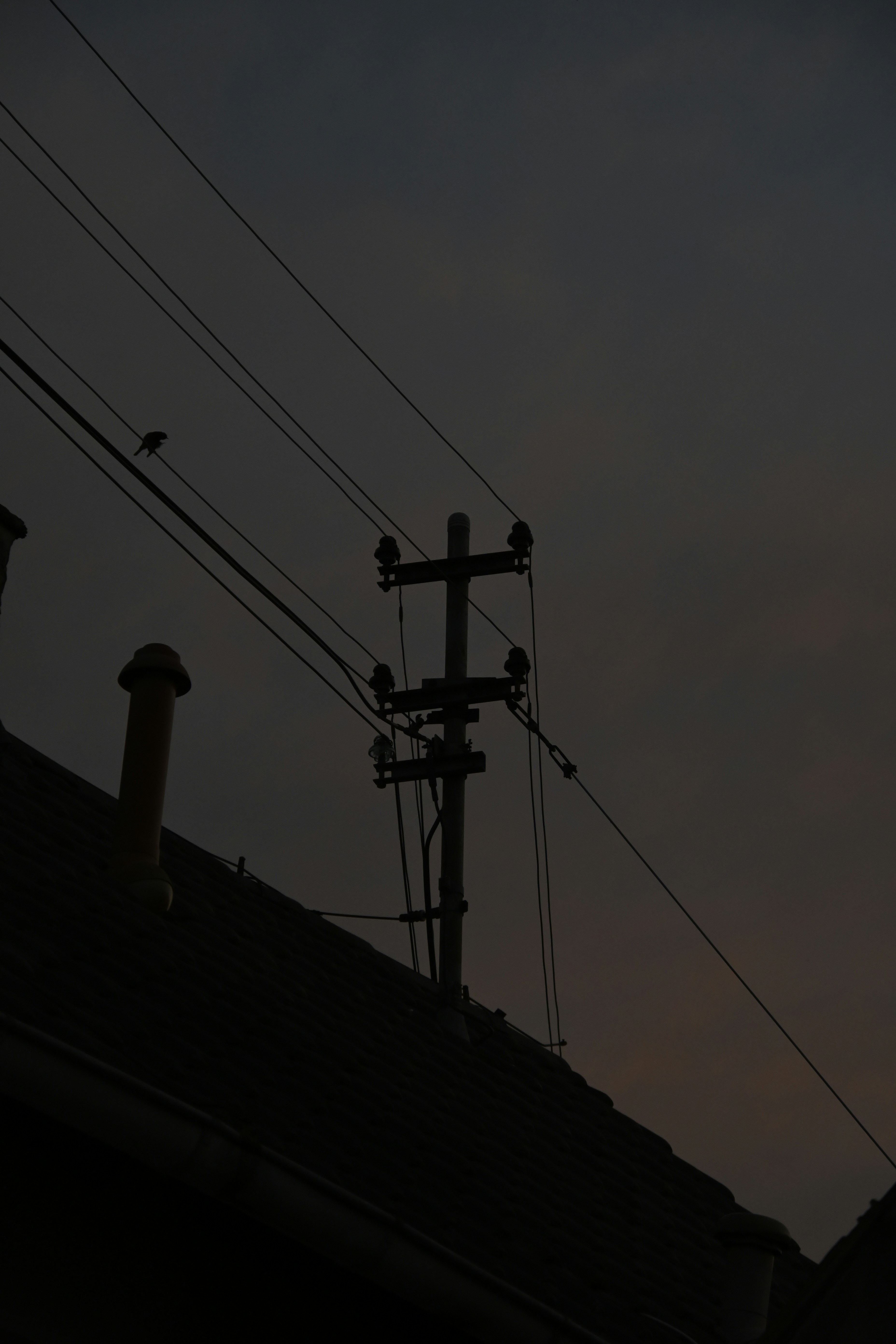 Photo by wouter_van_der_velde