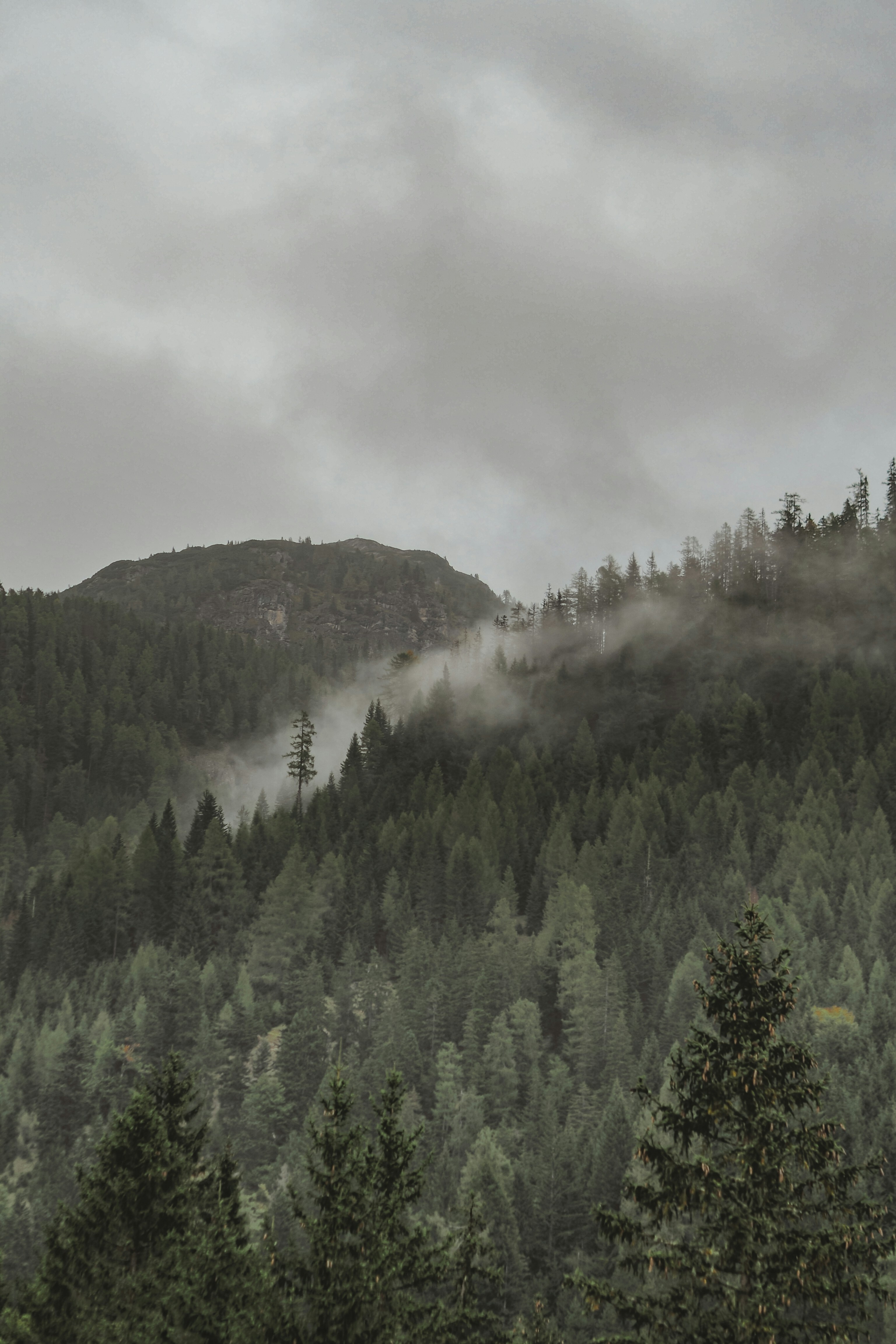 Photo by laurachouette