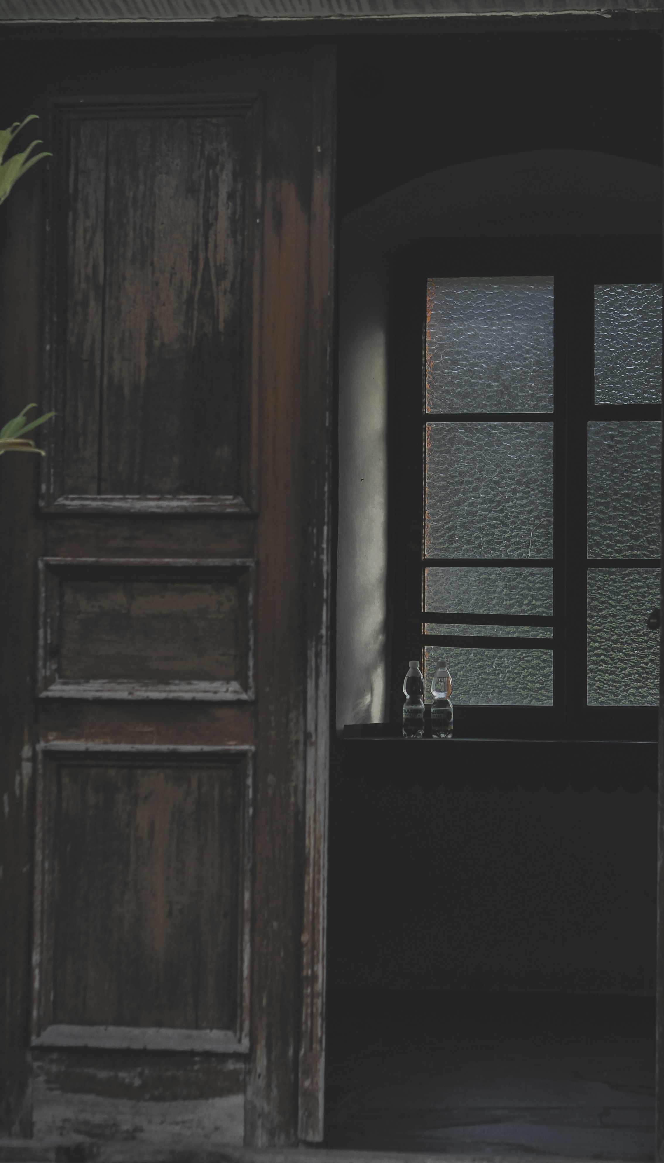 Photo by laurachouette