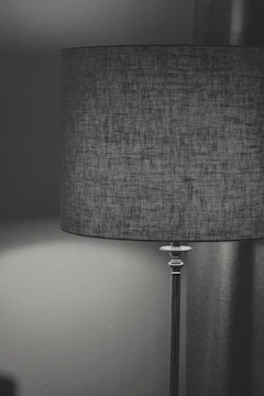 A black and white photo of a lamp