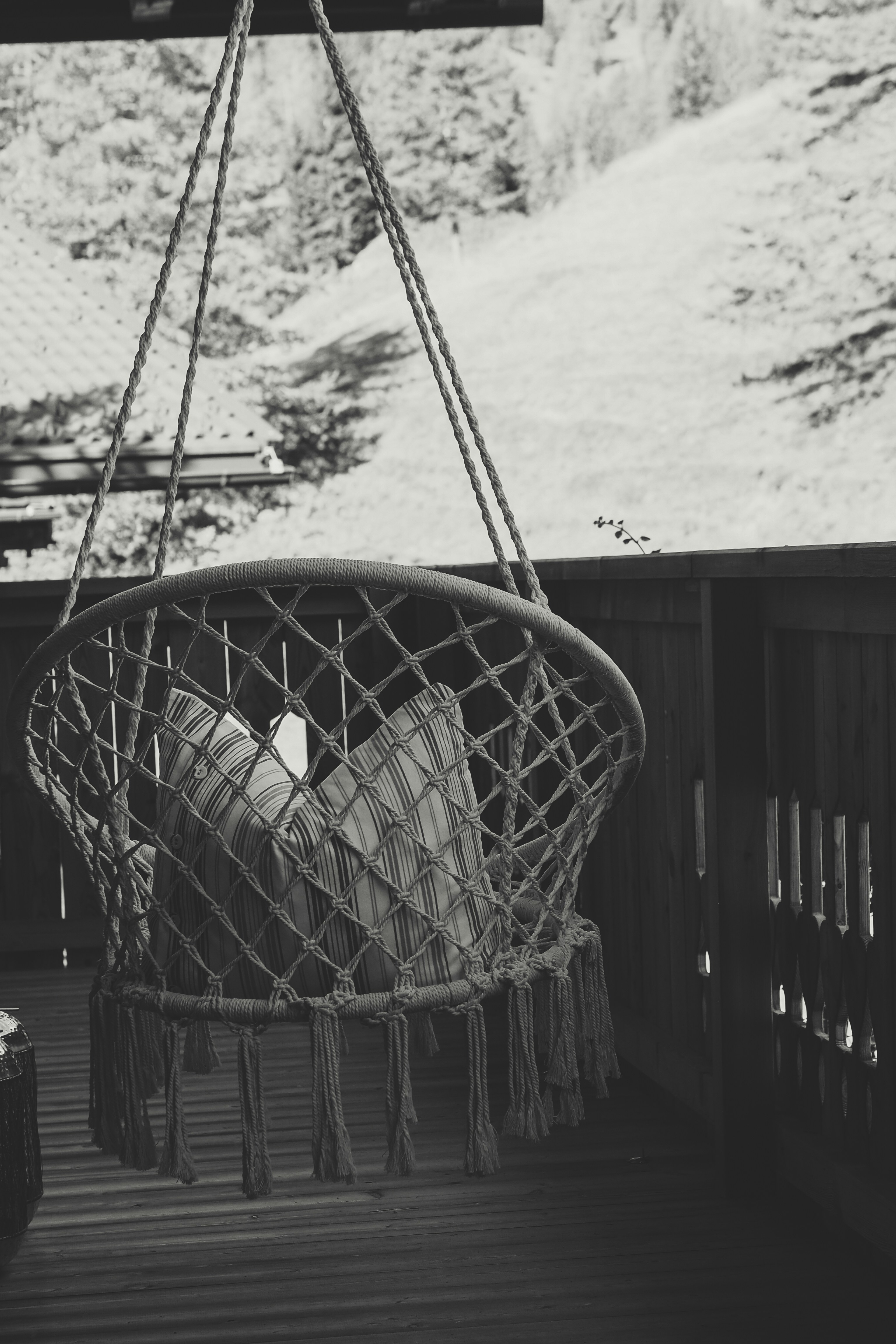 Photo by laurachouette