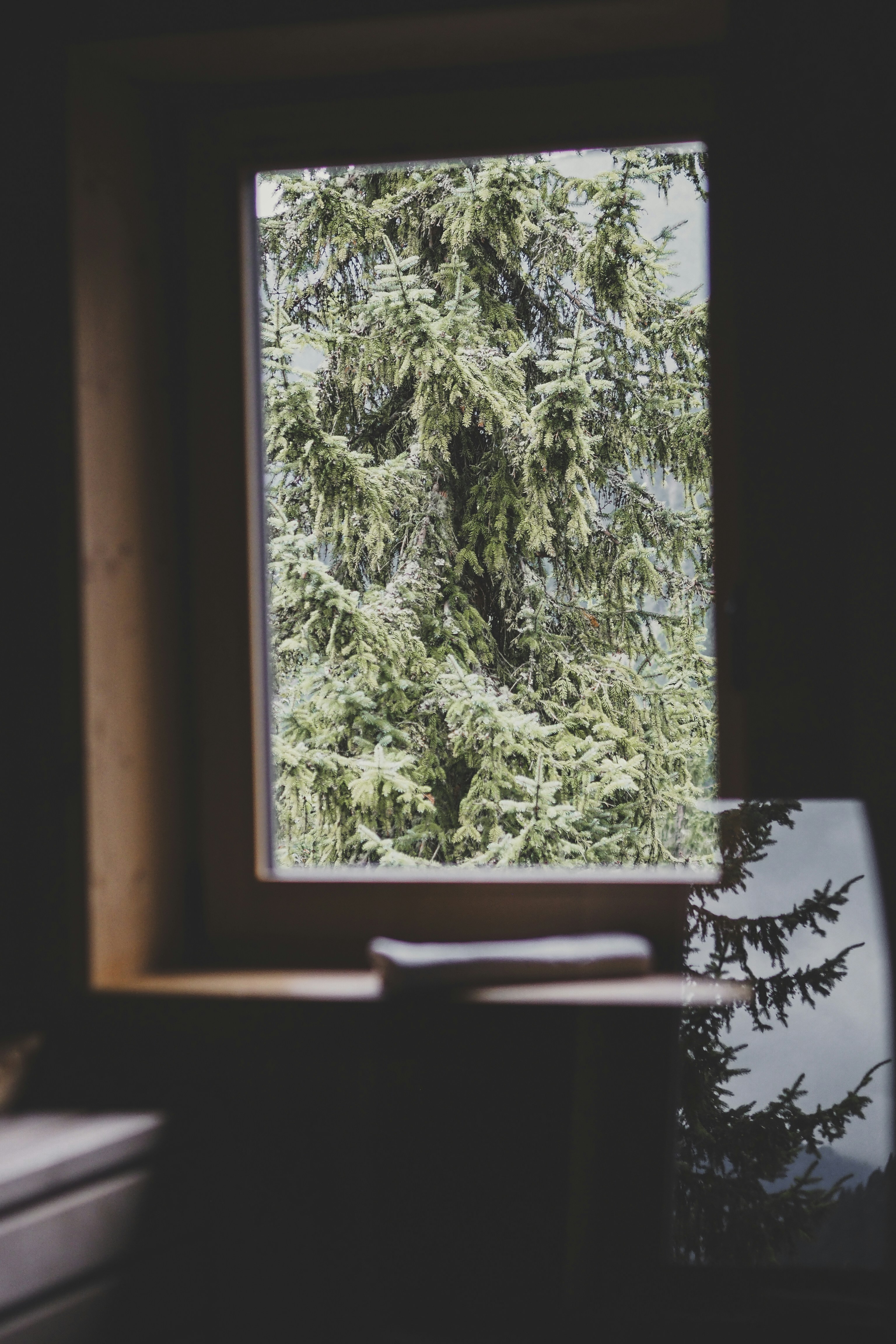 Photo by laurachouette