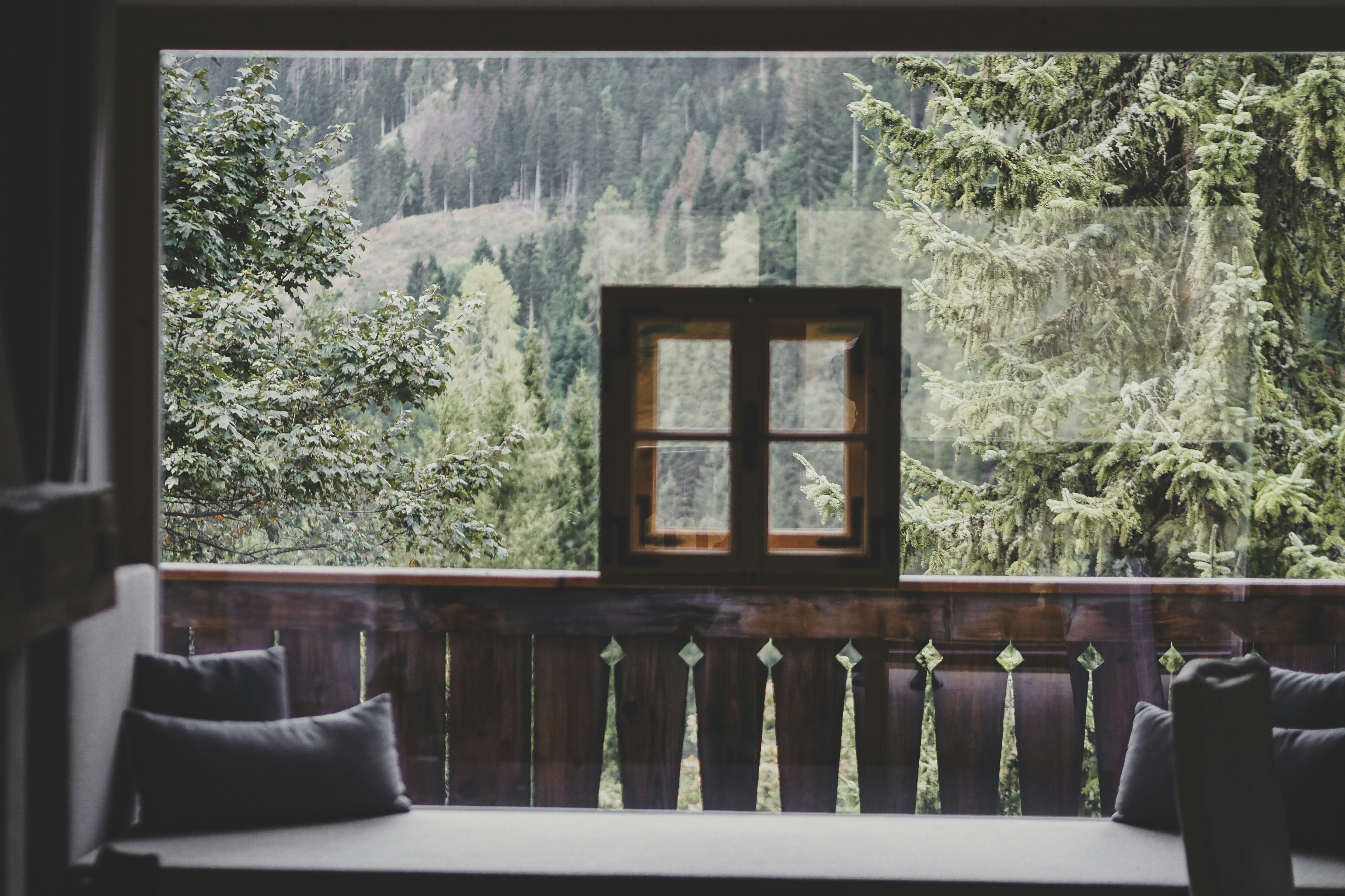 A window with a view of a forest outside