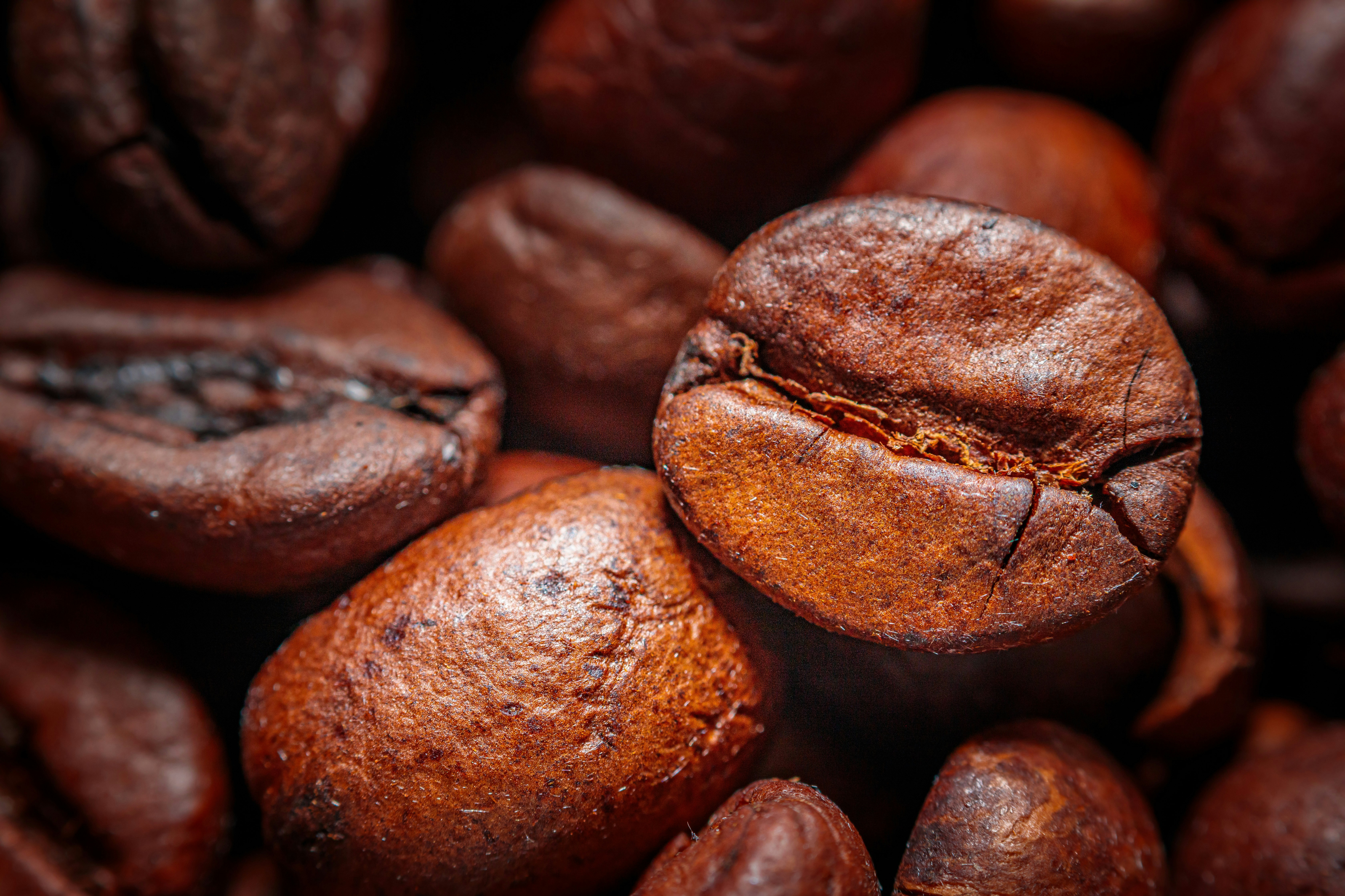 Photo by dreamscape_visions