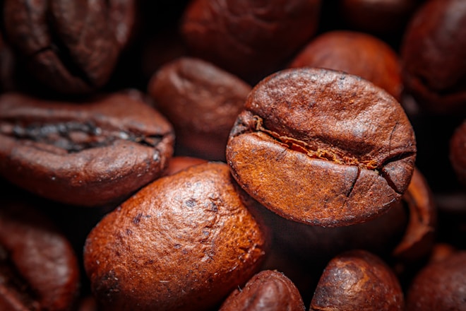 vários grãos de café canephora