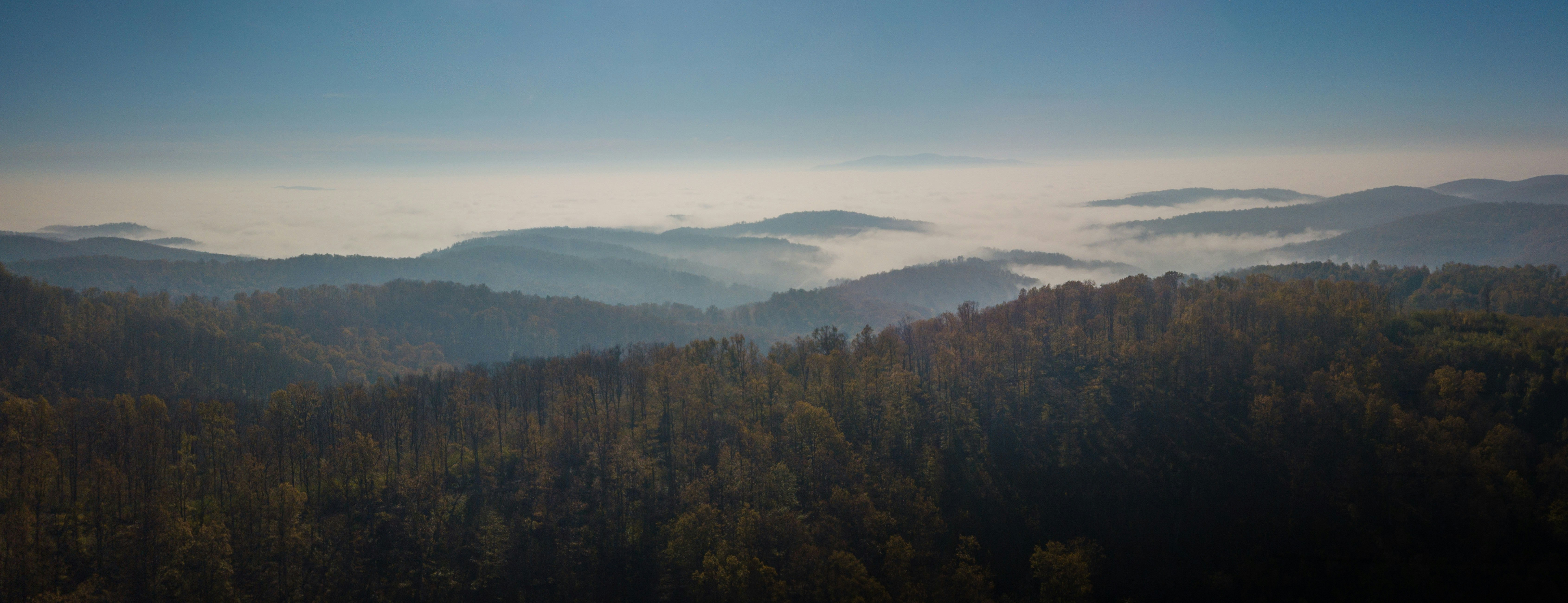 Photo by vjeblackbirdlion