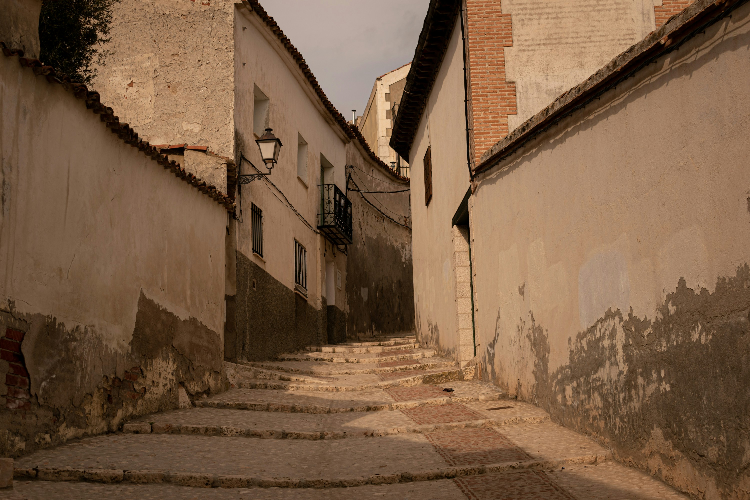 The King and the Beggar