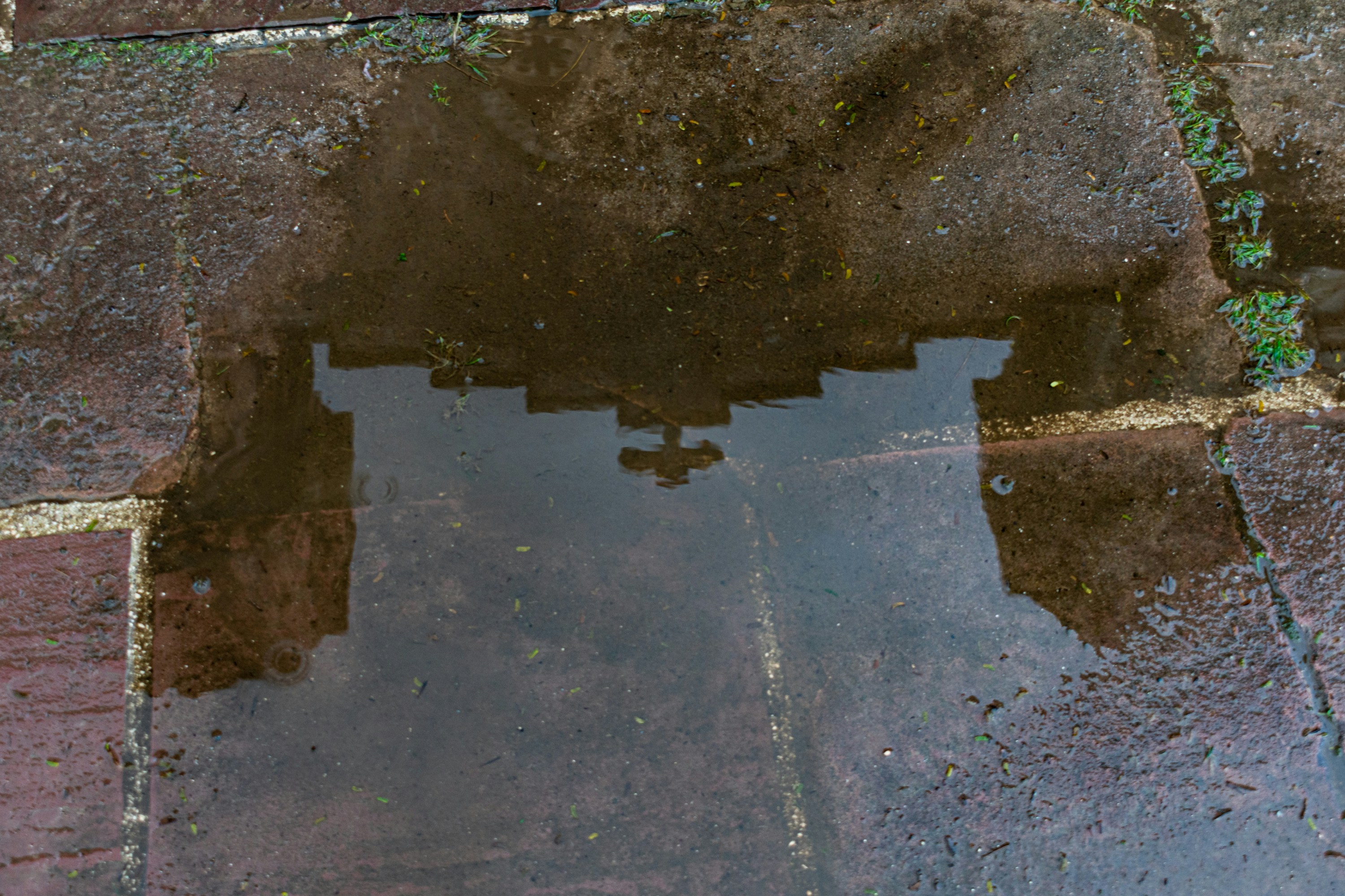 5 Signs You Have a Hidden Water Leak