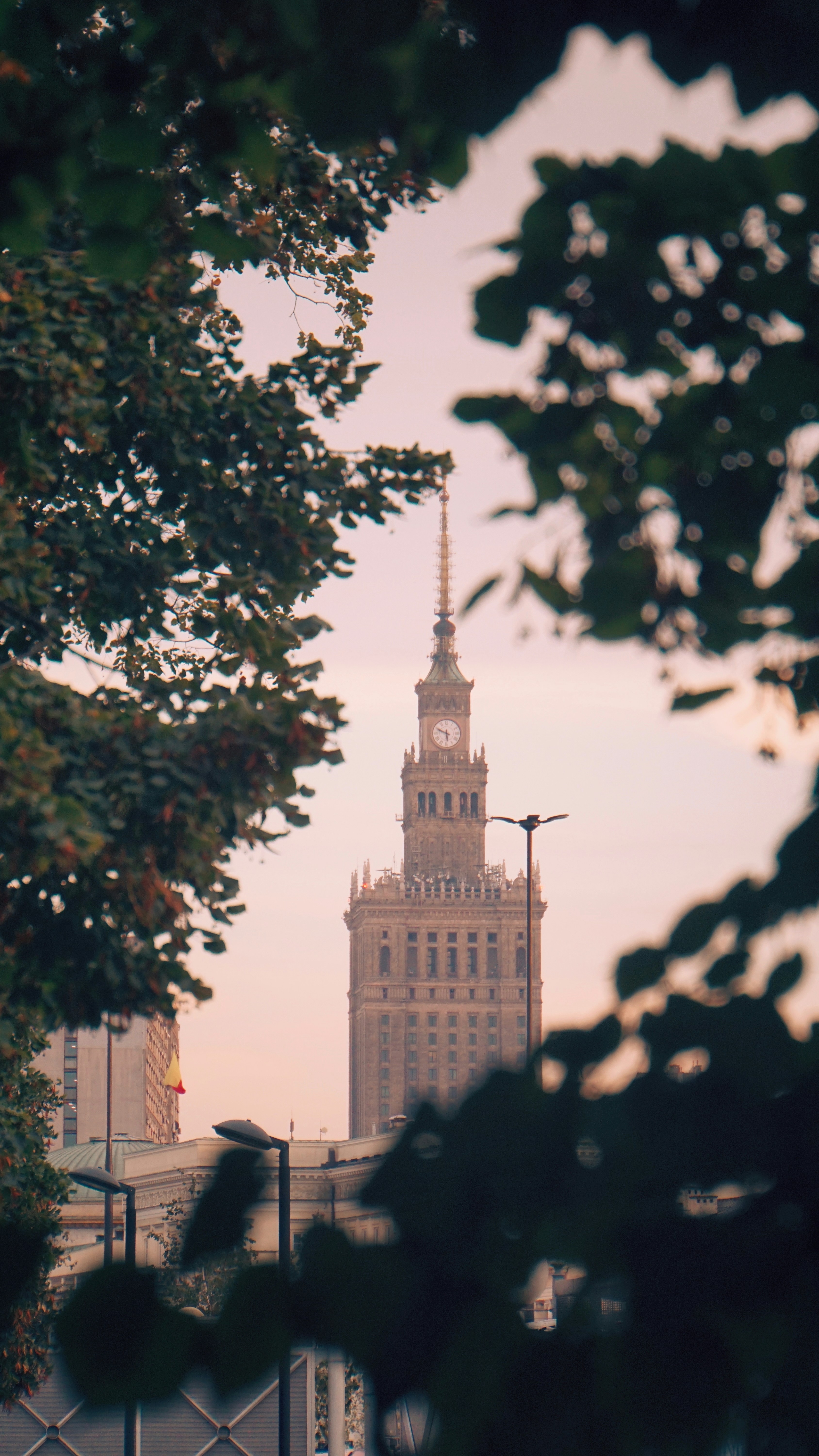 Ein veröffentlichtes Foto