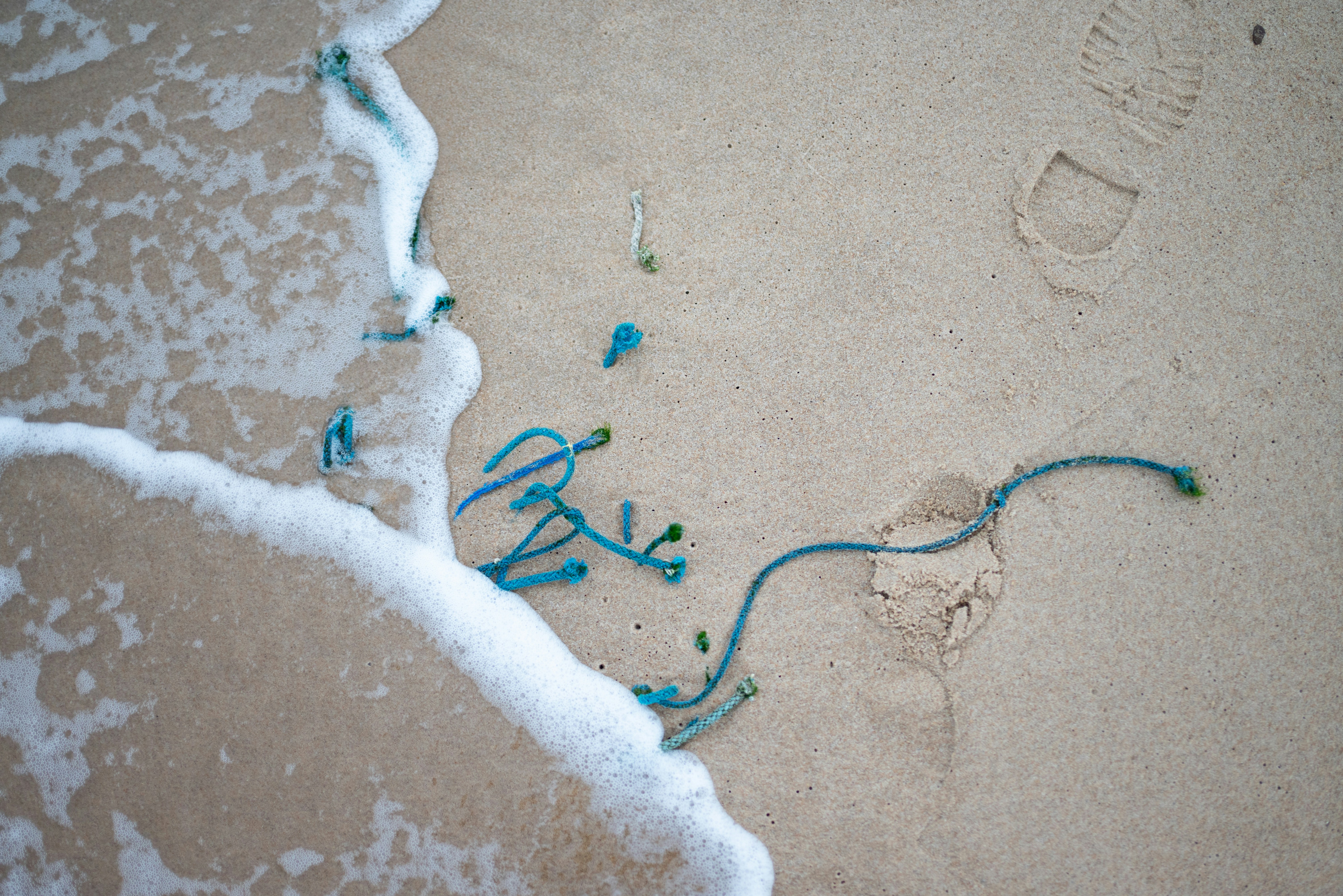 A picture of a person's footprints in the sand