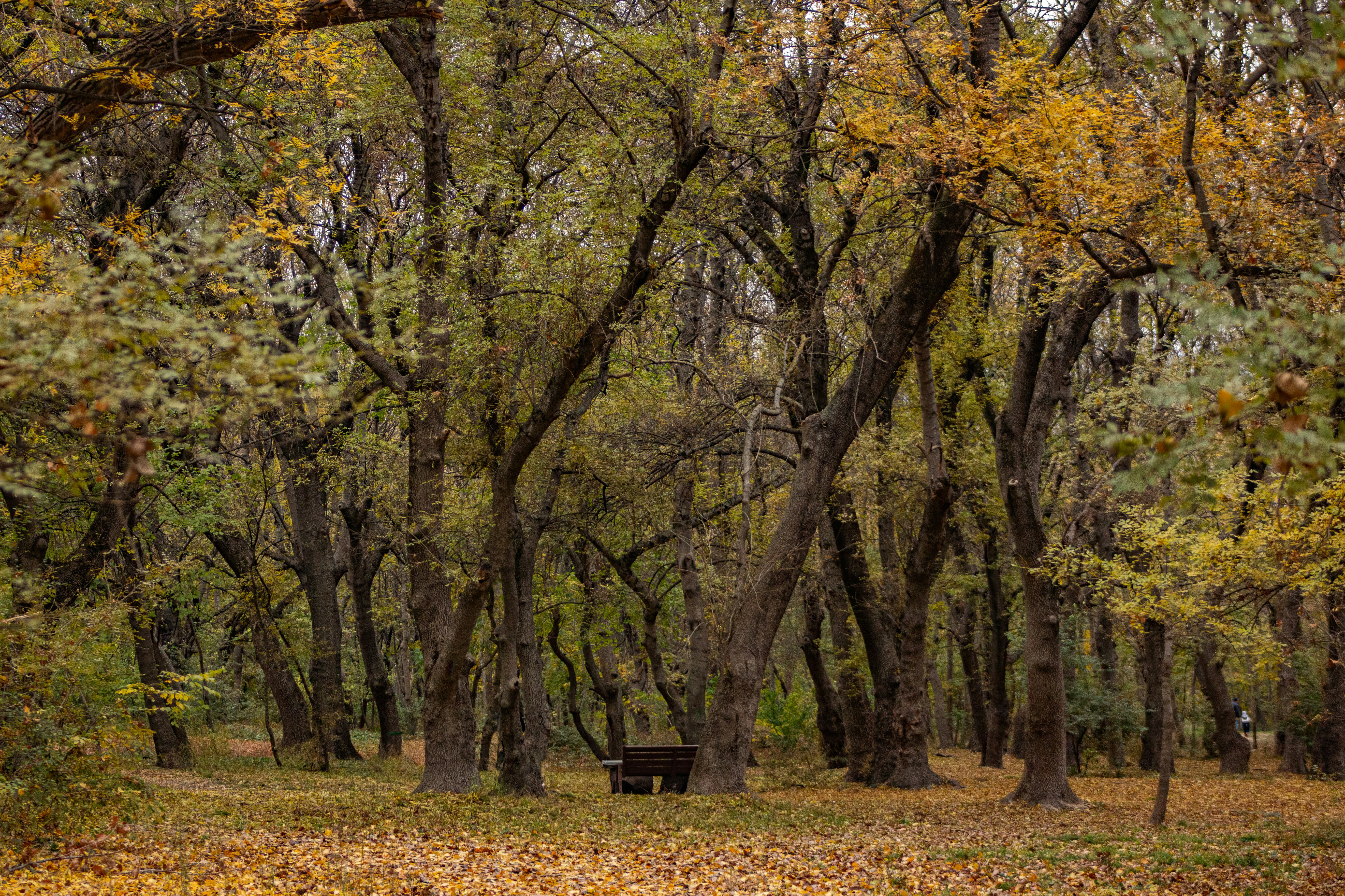 Photo by stepan_konev