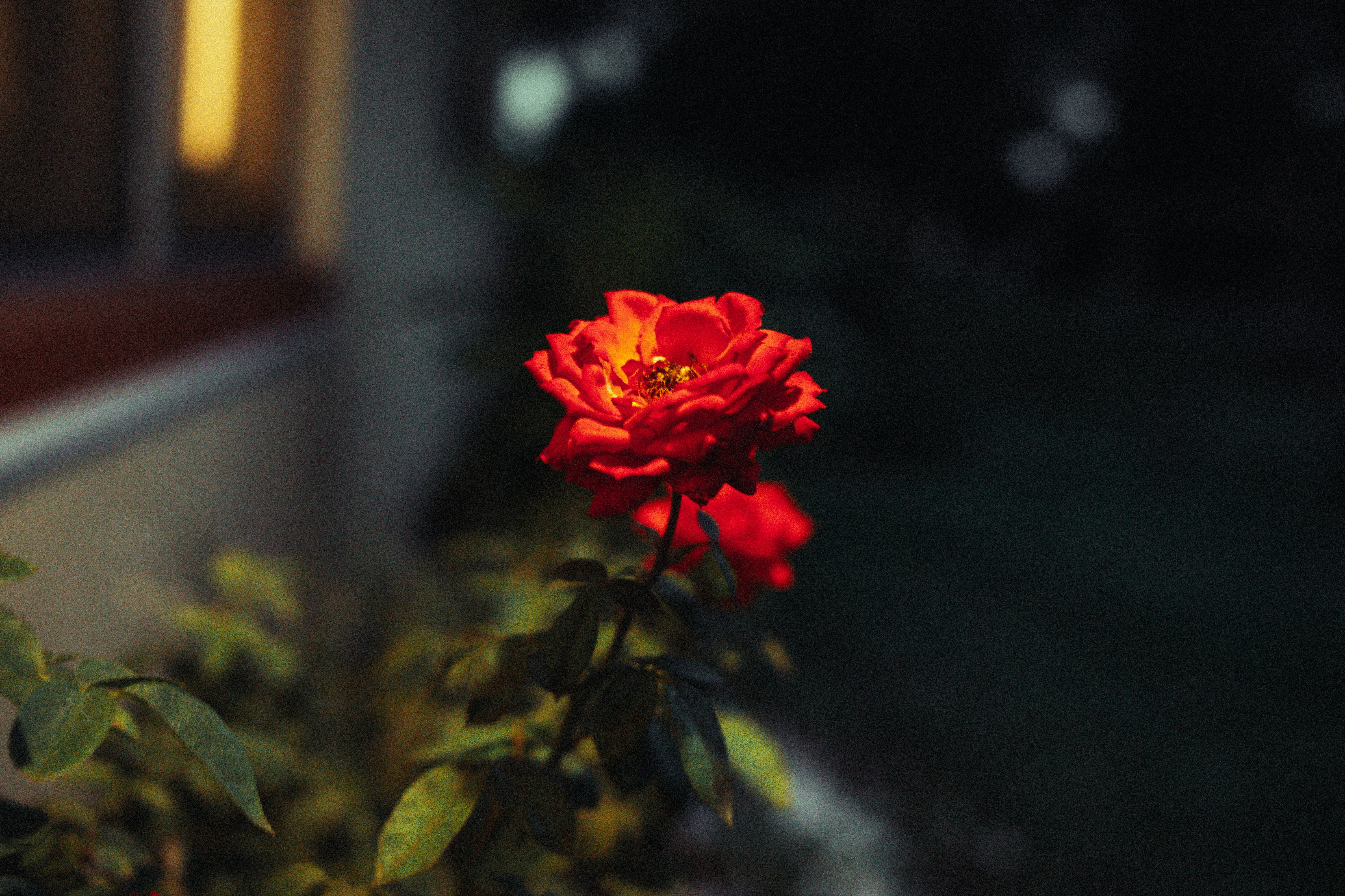 Photo by therandyeffect