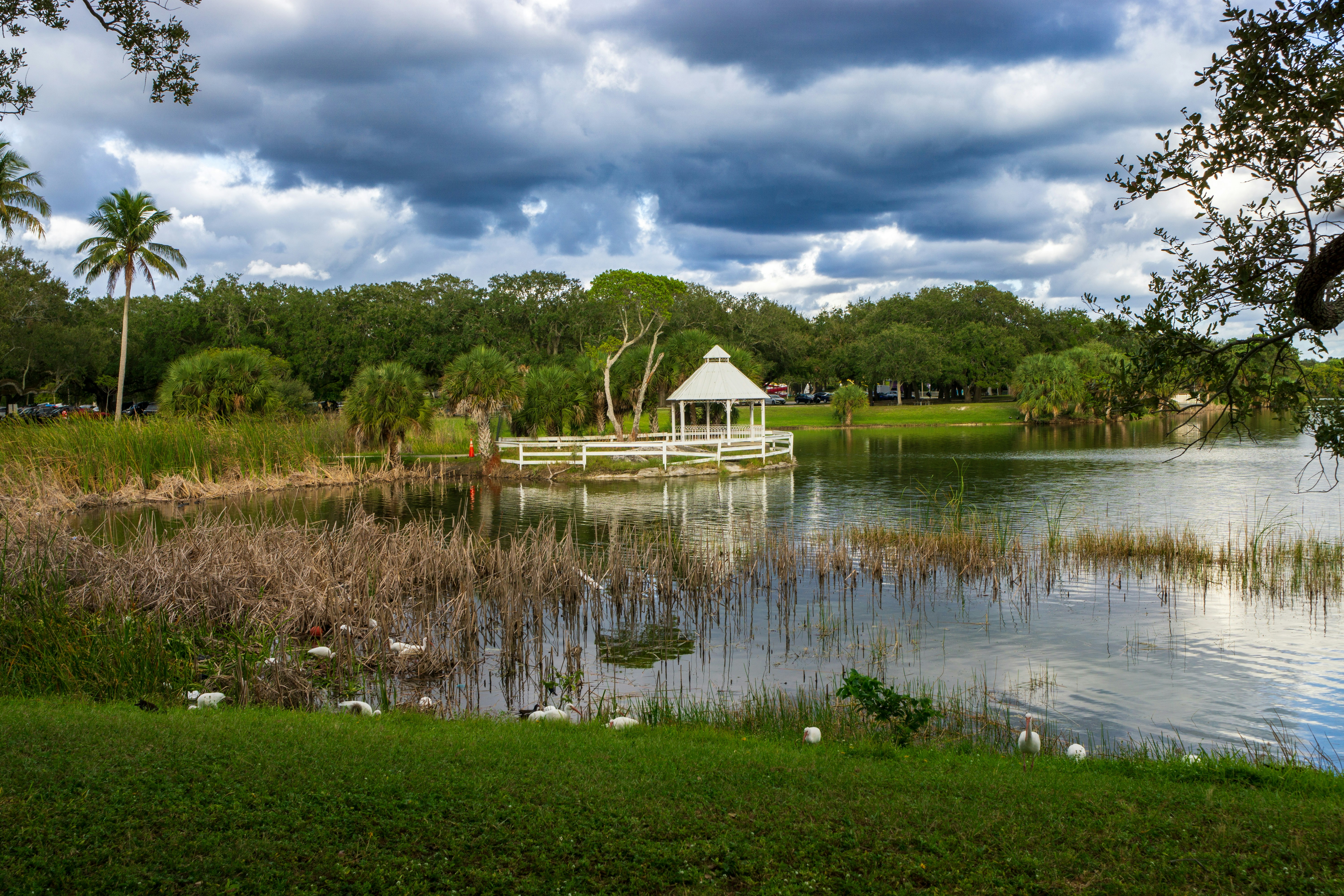 Photo by therandyeffect