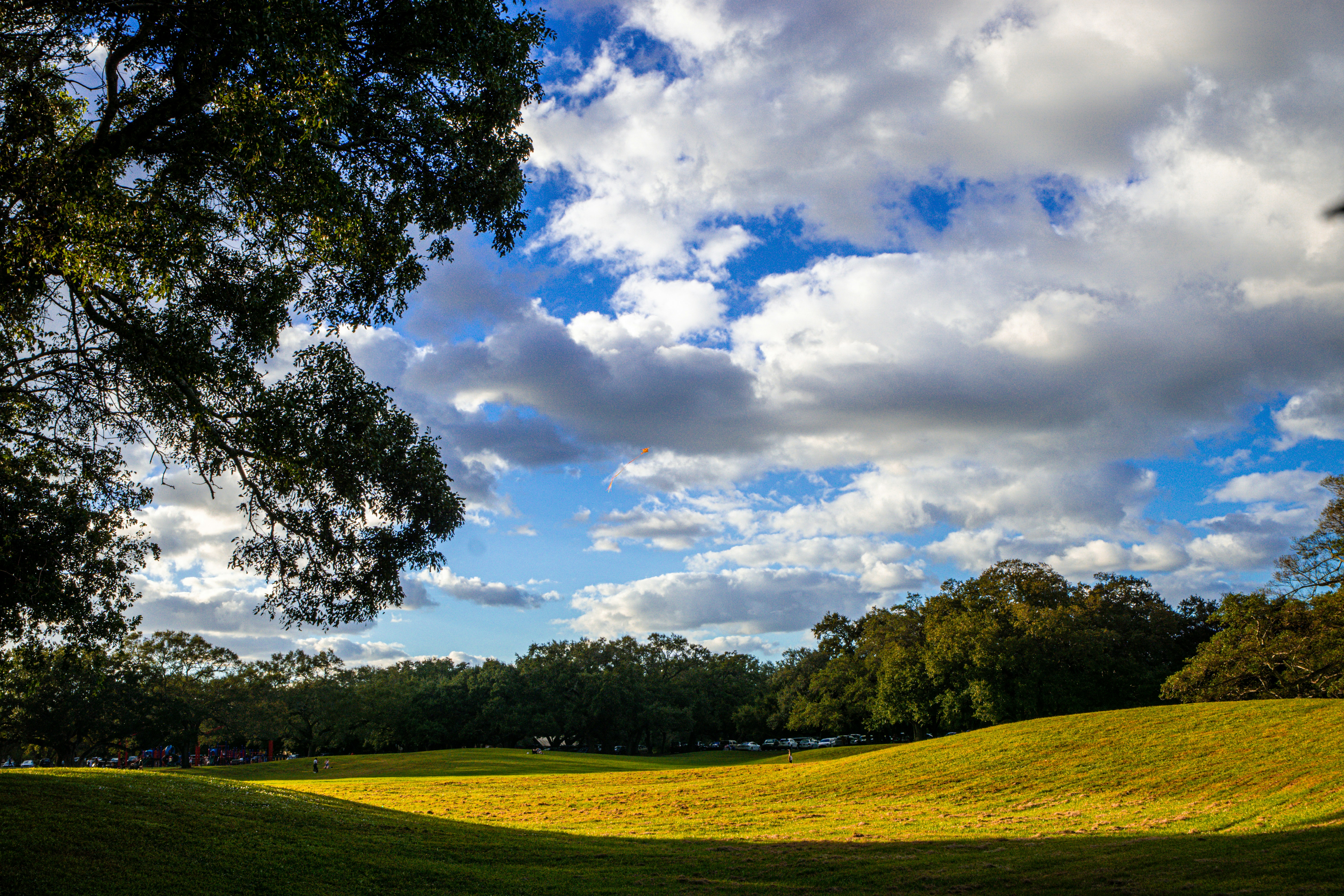 Photo by therandyeffect